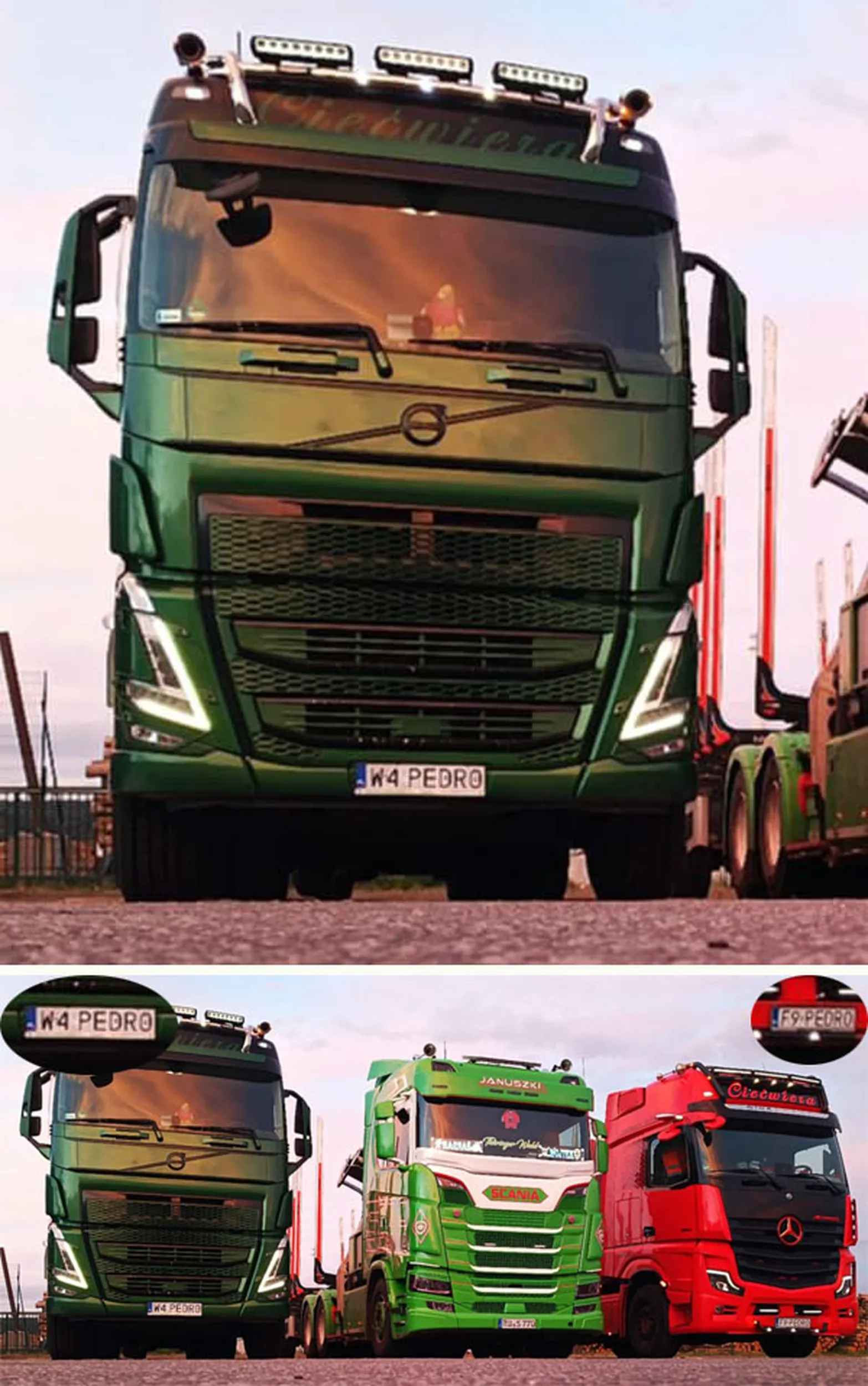 Fajny numer, blacha W4 PEDRO