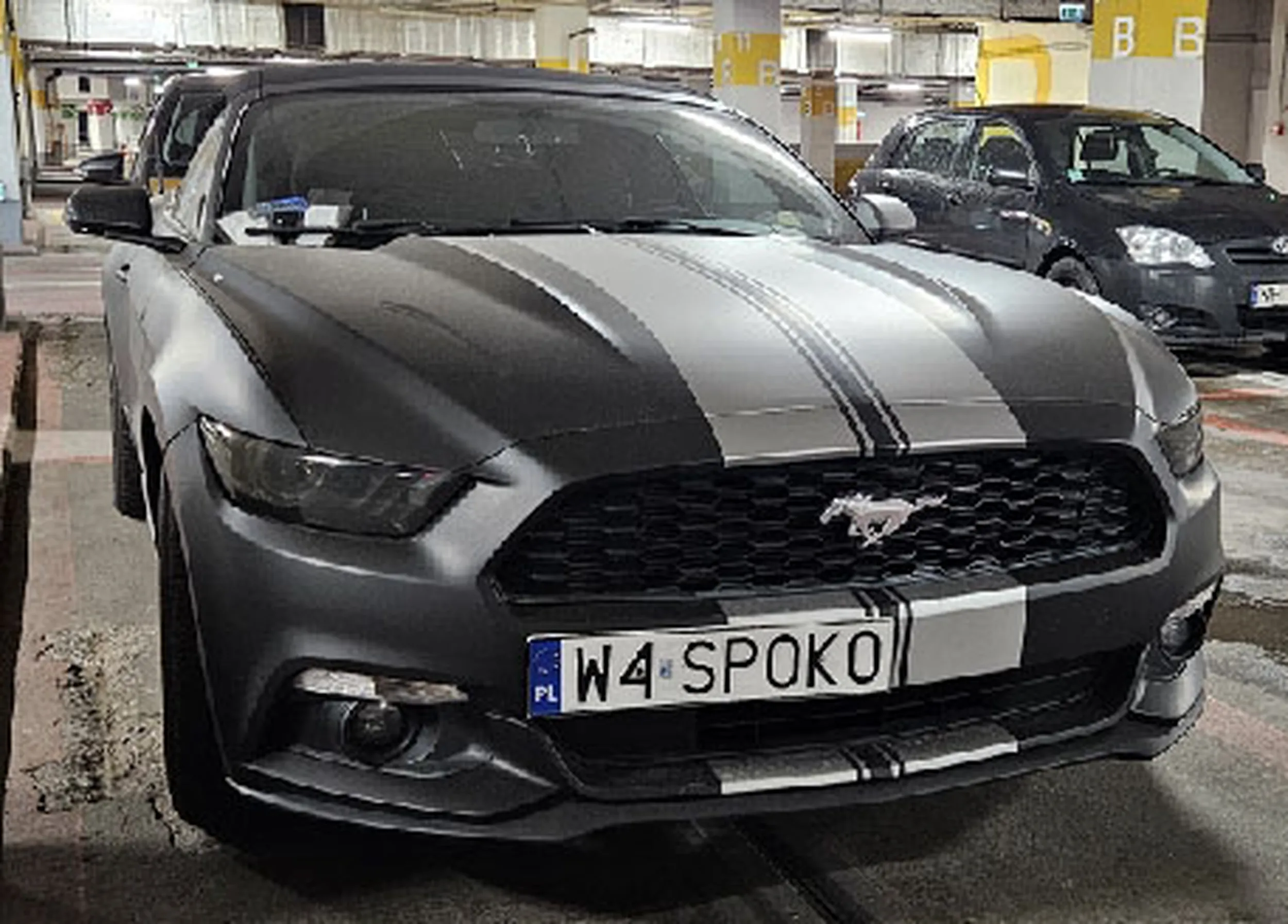 Fajny numer, blacha W4 SPOKO