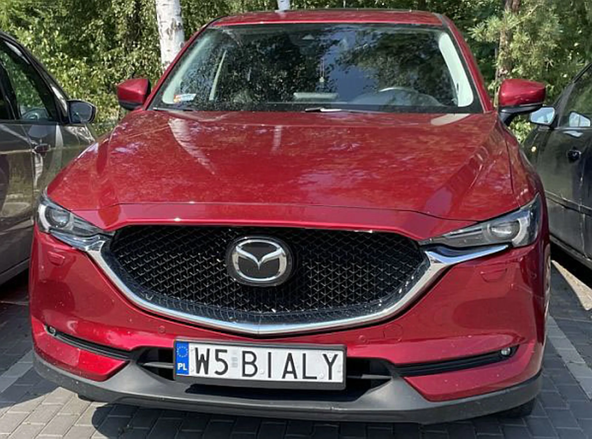 Fajny numer, blacha W5 BIALY