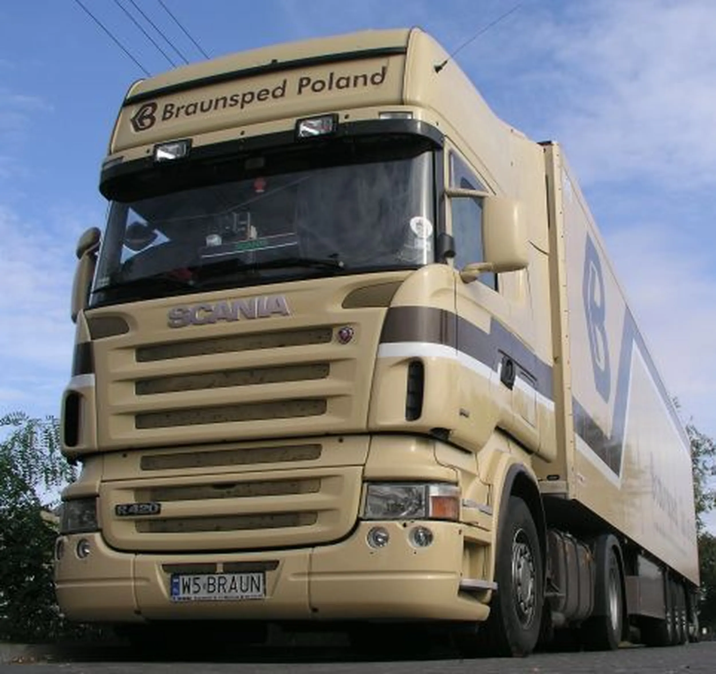 Fajny numer, blacha W5 BRAUN