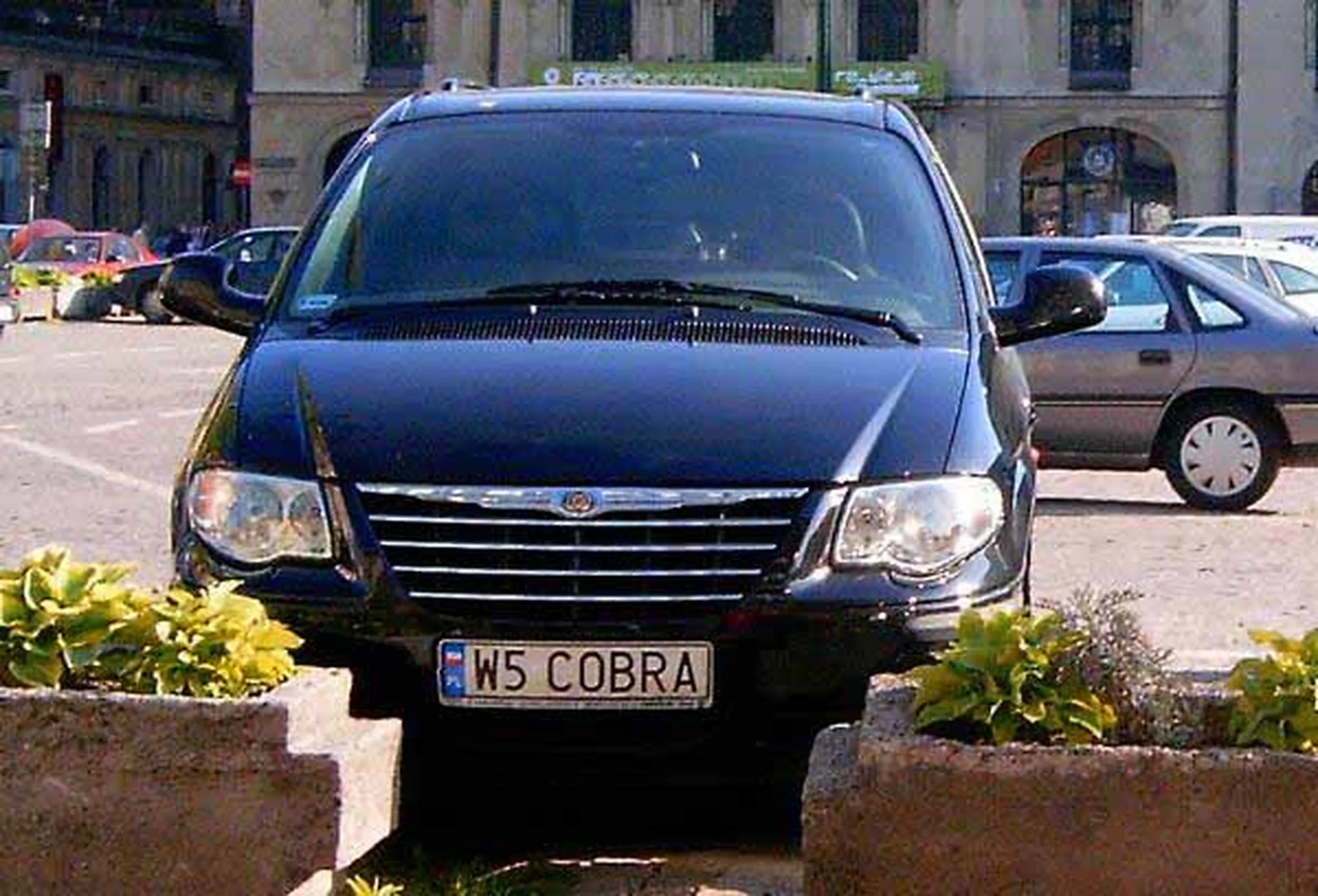 Fajny numer, blacha W5 COBRA