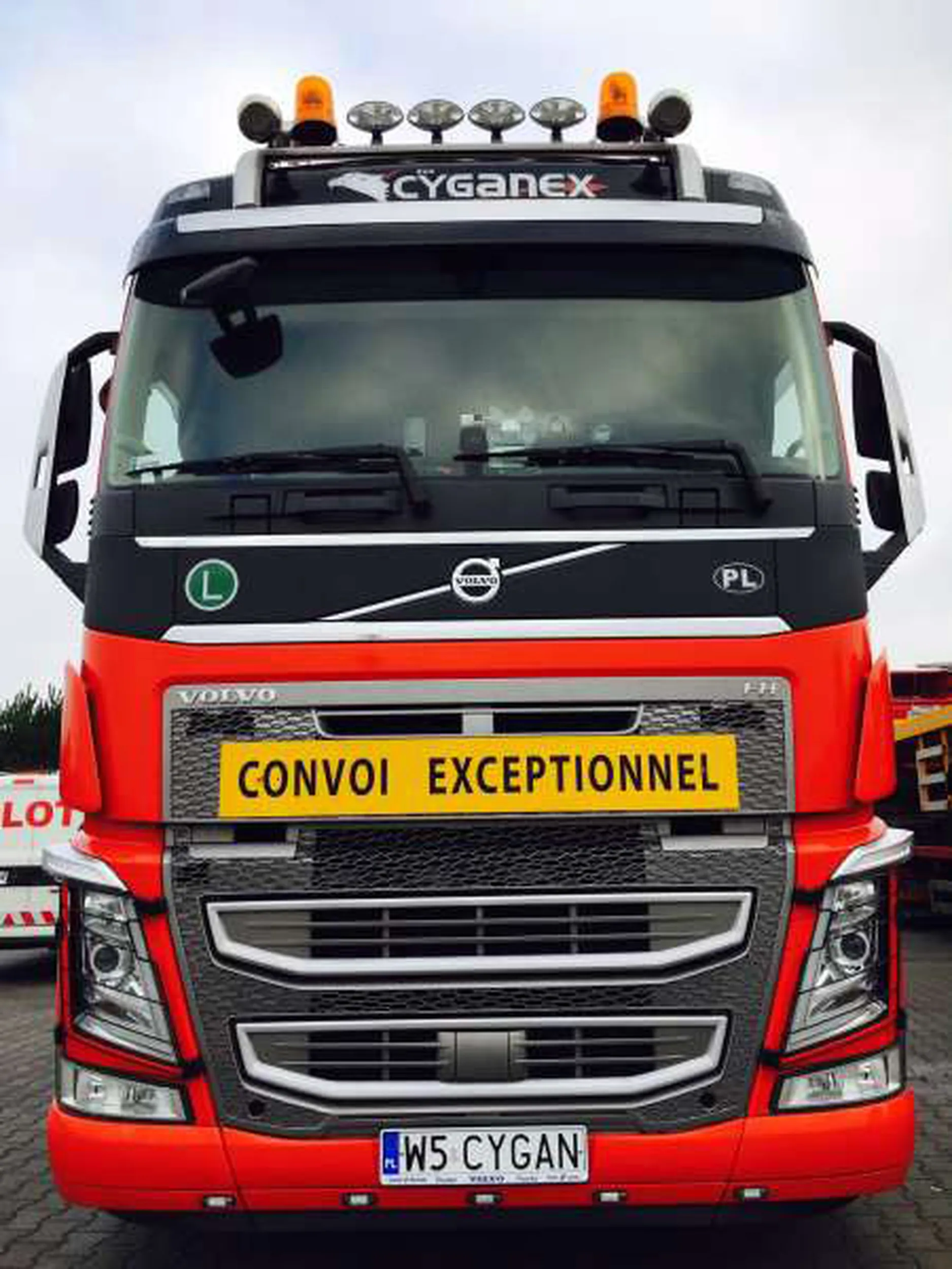 Fajny numer, blacha W5 CYGAN