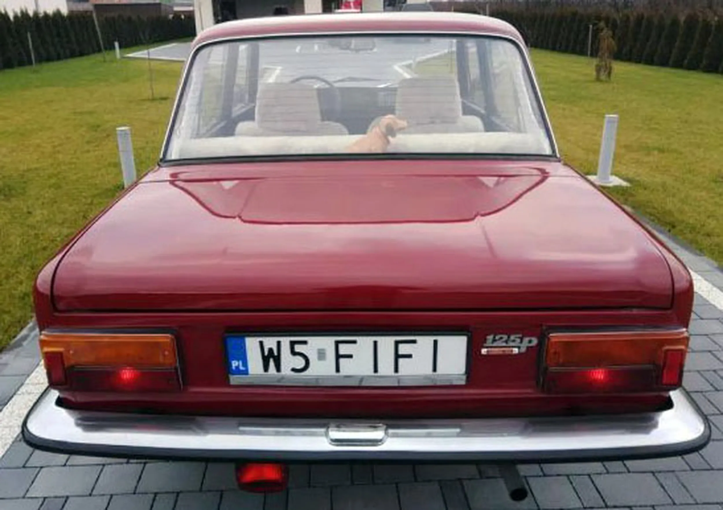 Fajny numer, blacha W5 FIFI