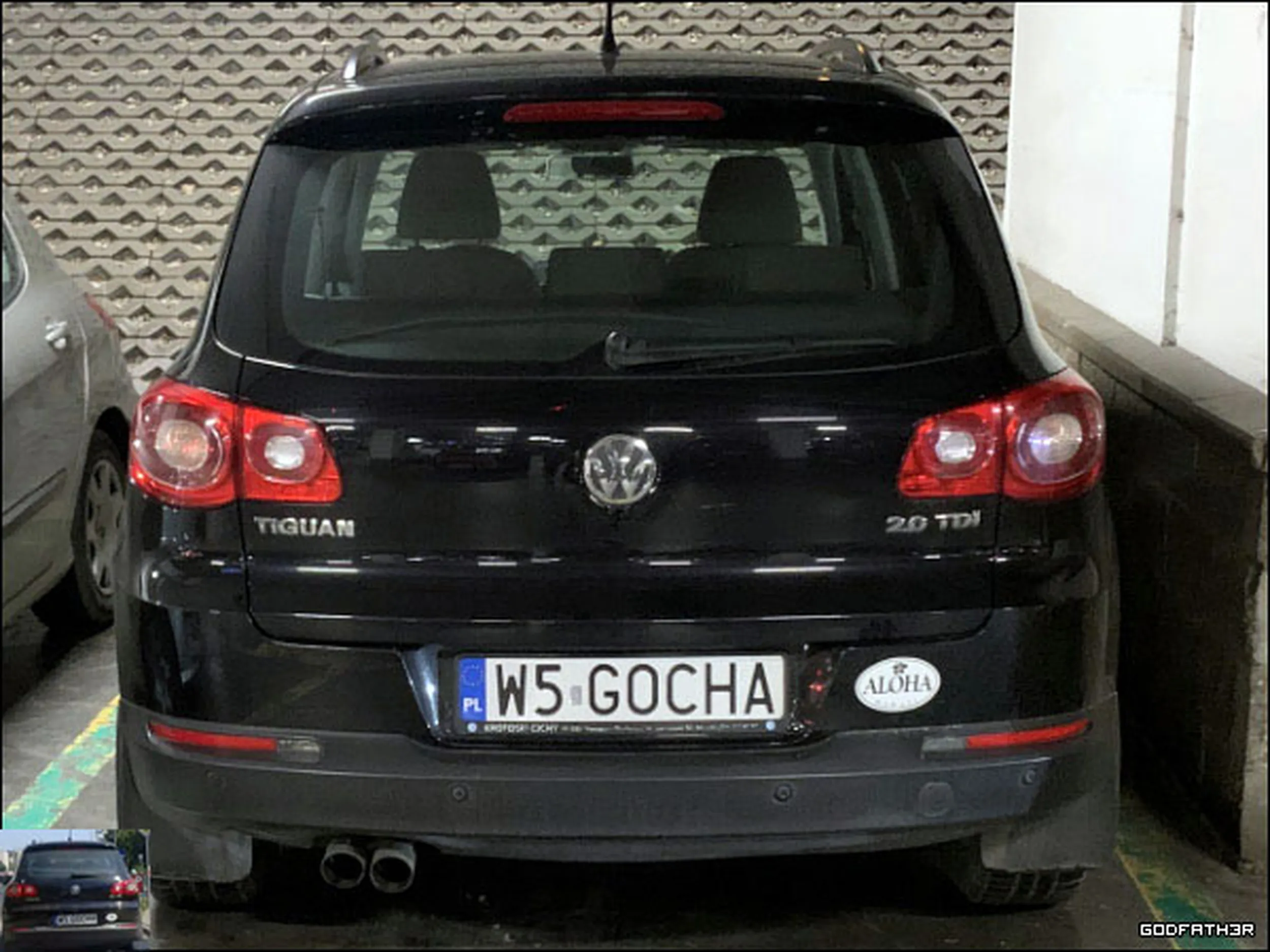 Fajny numer, blacha W5 GOCHA