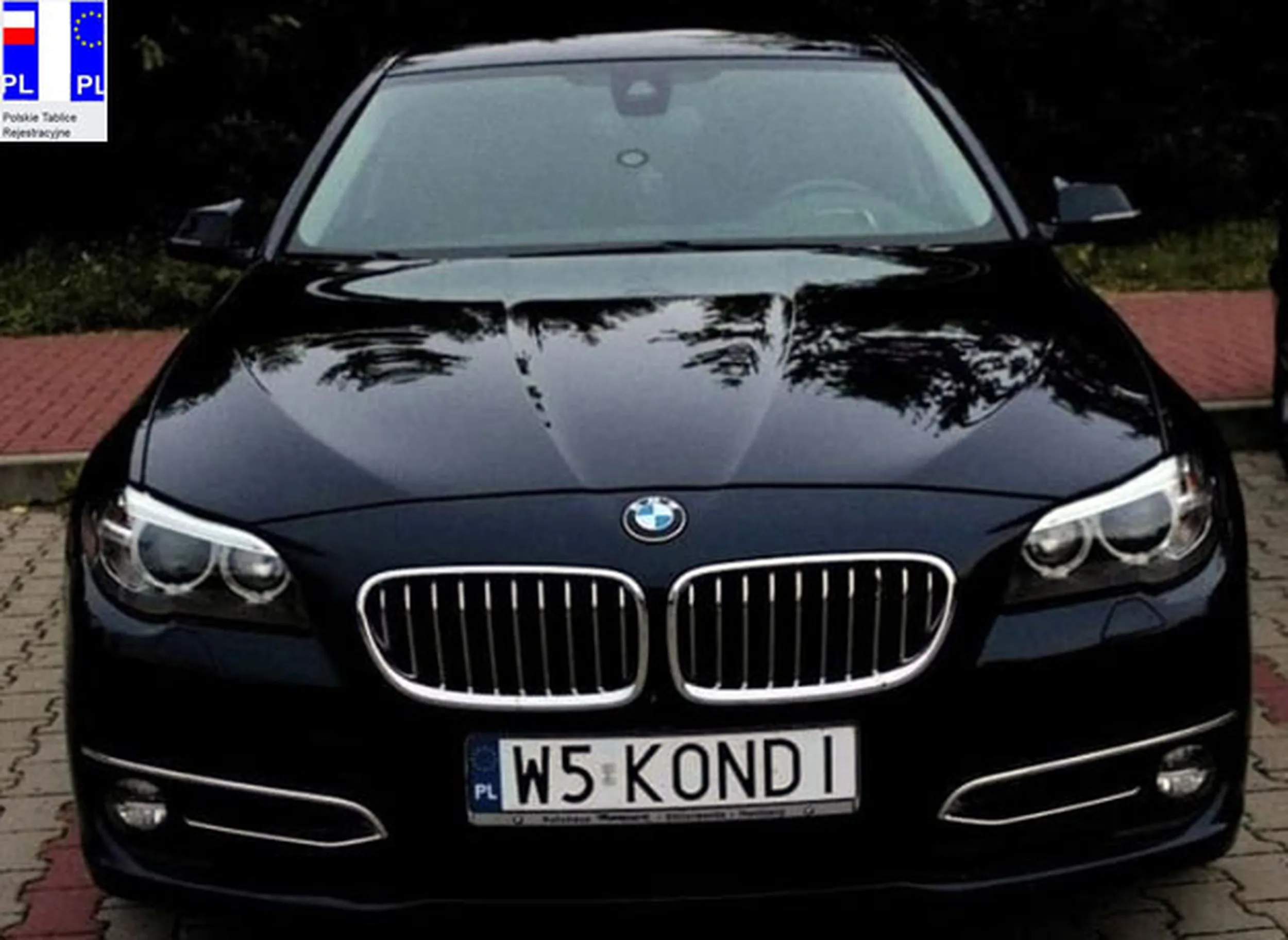 Fajny numer, blacha W5 KONDI