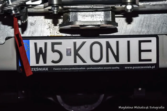 Fajny numer, blacha W5 KONIE