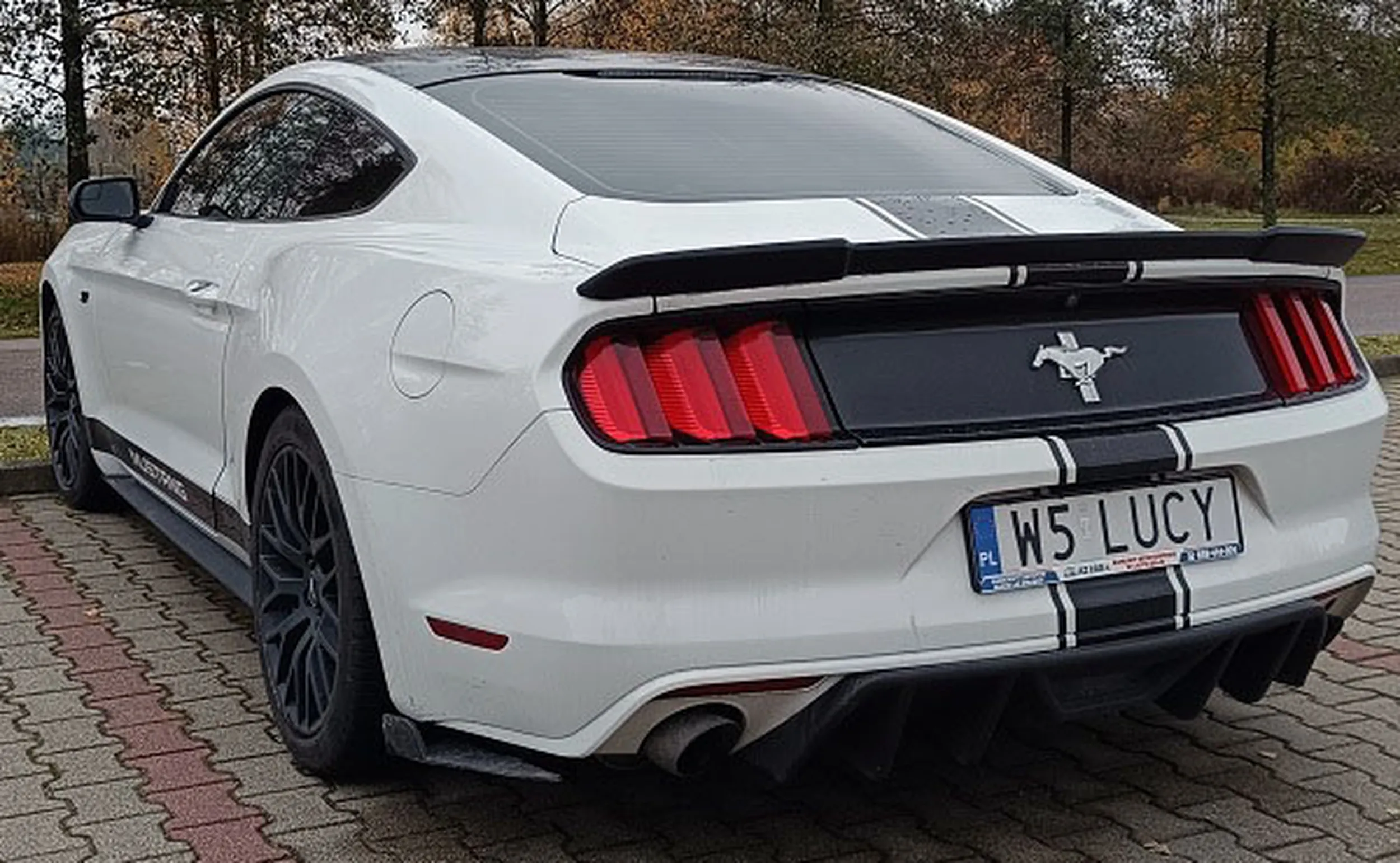 Fajny numer, blacha W5 LUCY