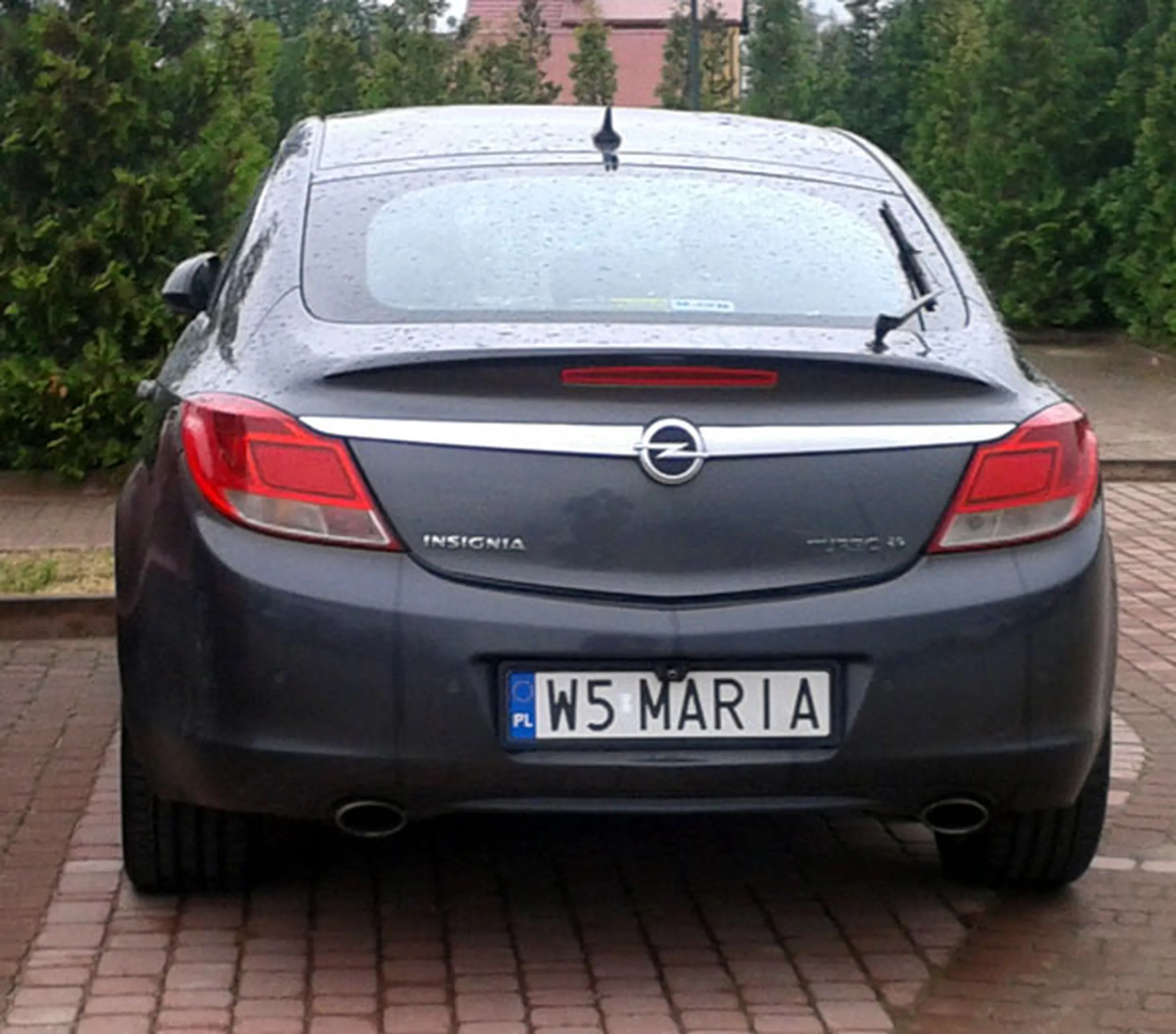 Fajny numer, blacha W5 MARIA