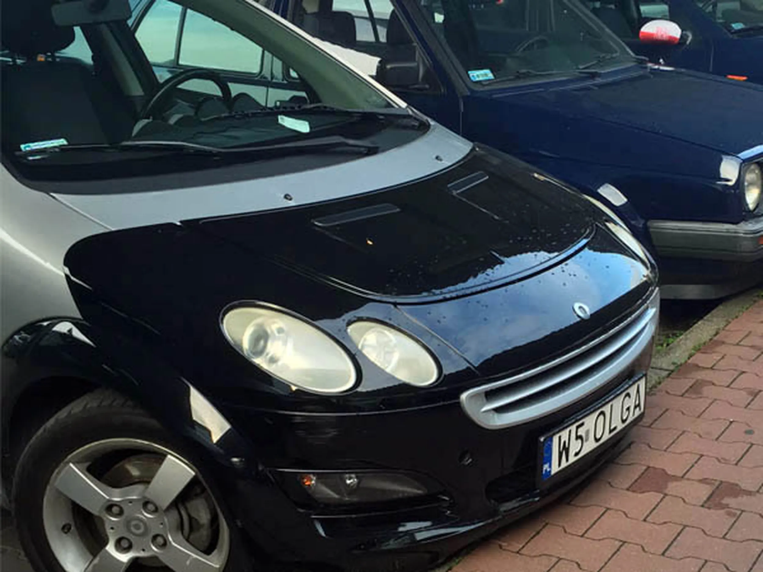 Fajny numer, blacha W5 OLGA