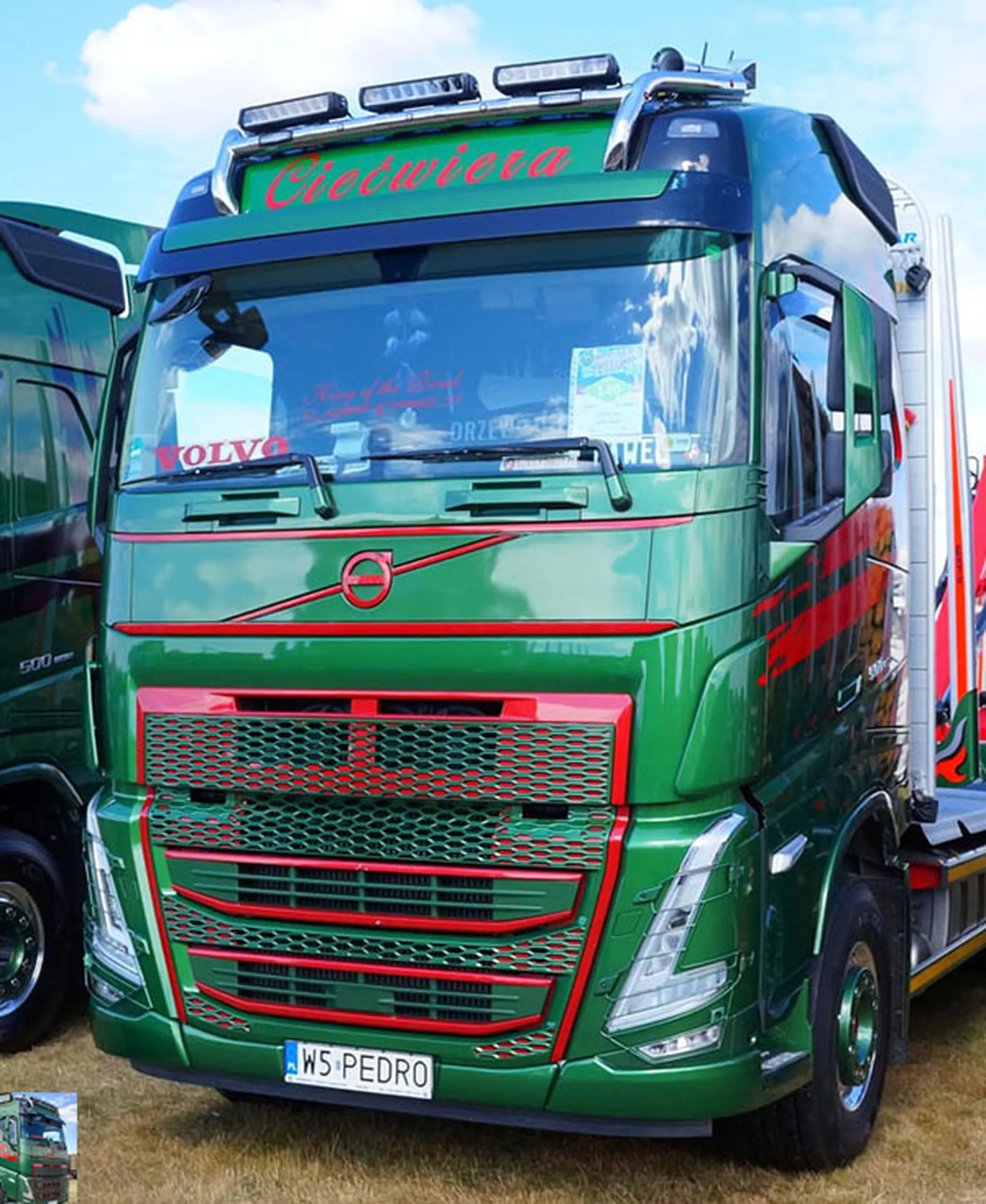 Fajny numer, blacha W5 PEDRO