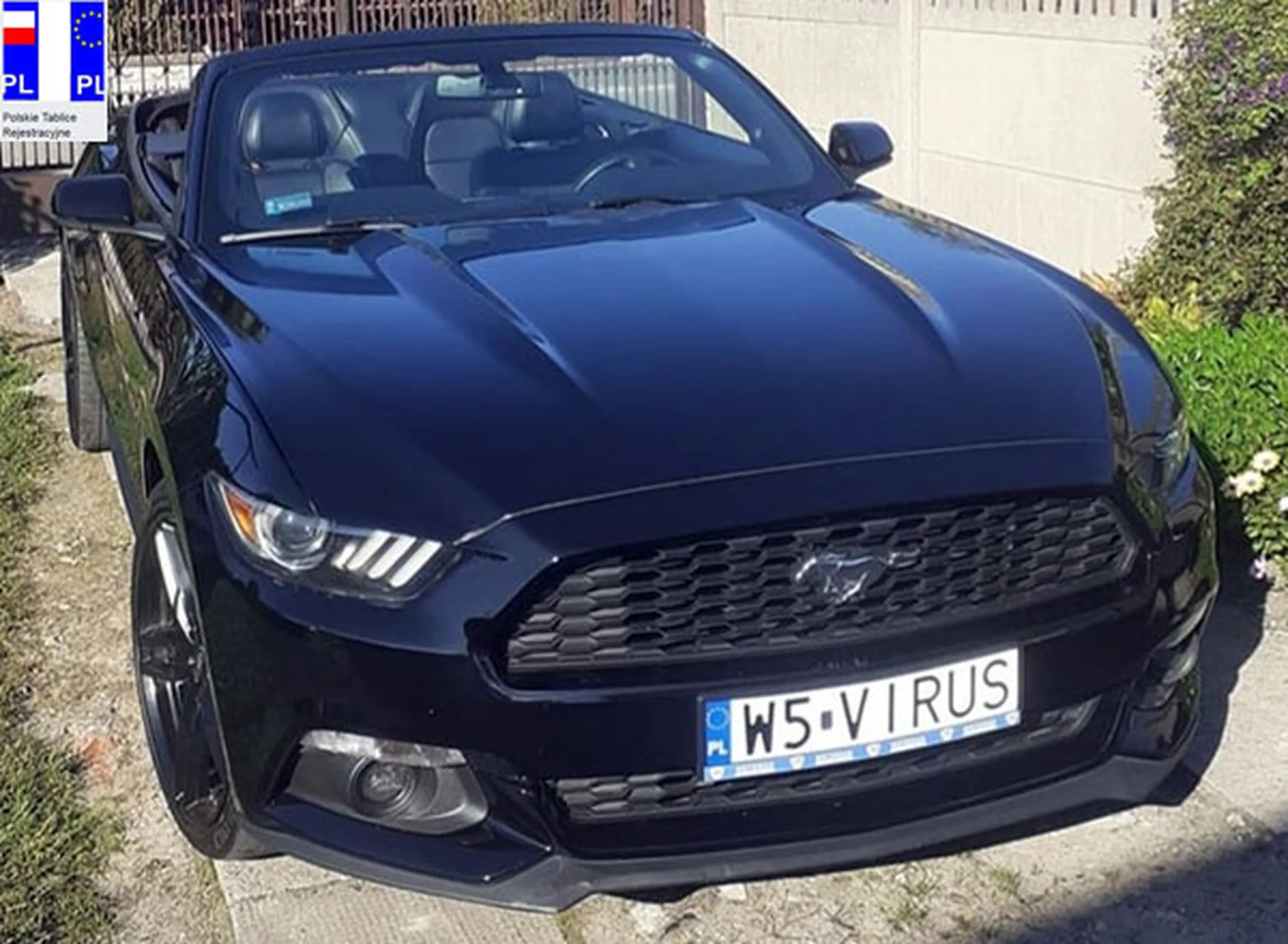 Fajny numer, blacha W5 VIRUS