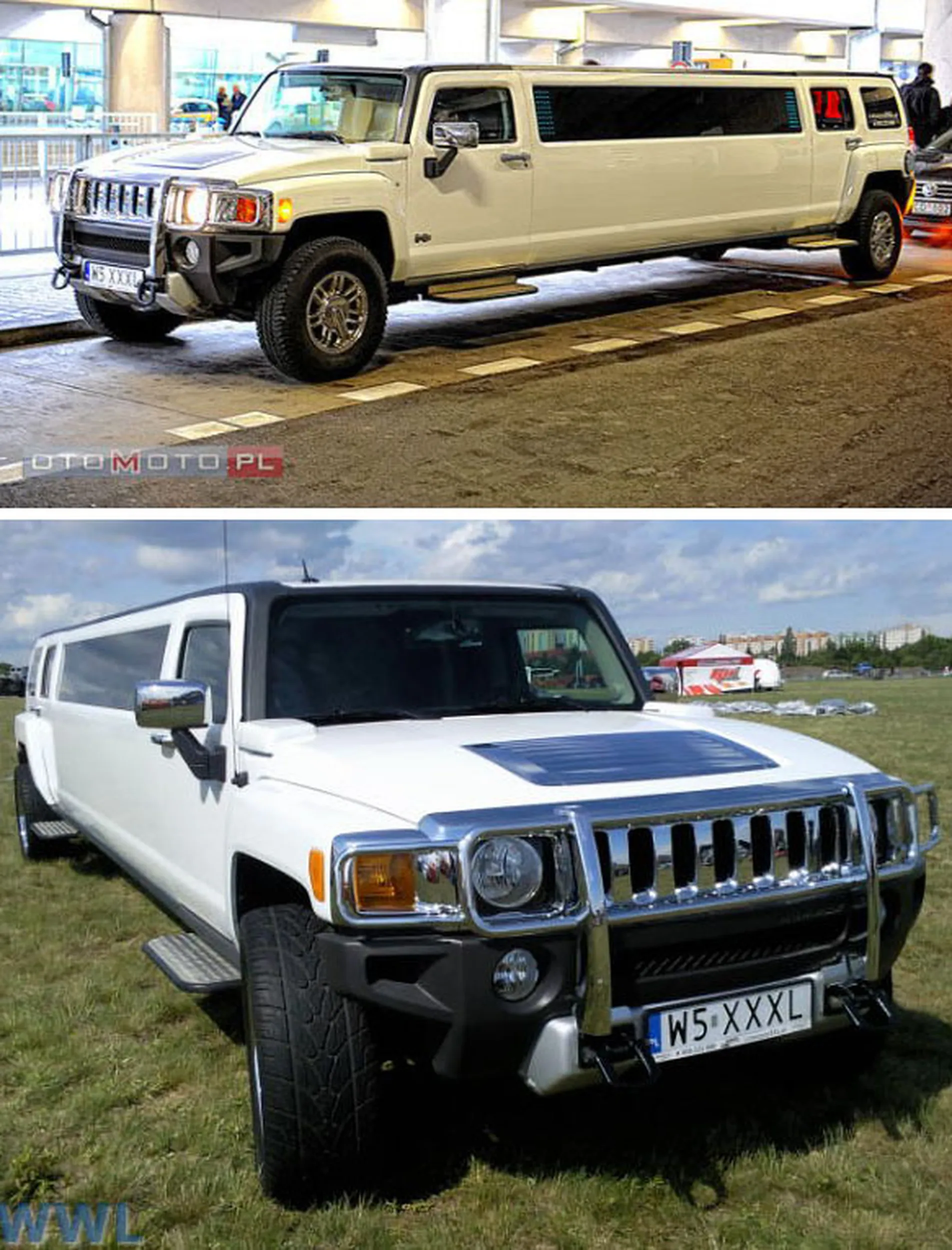 Fajny numer, blacha W5 XXXL