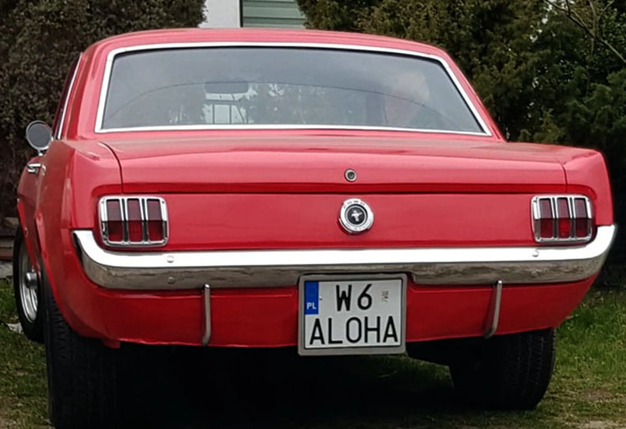 Fajny numer, blacha W6 ALOHA