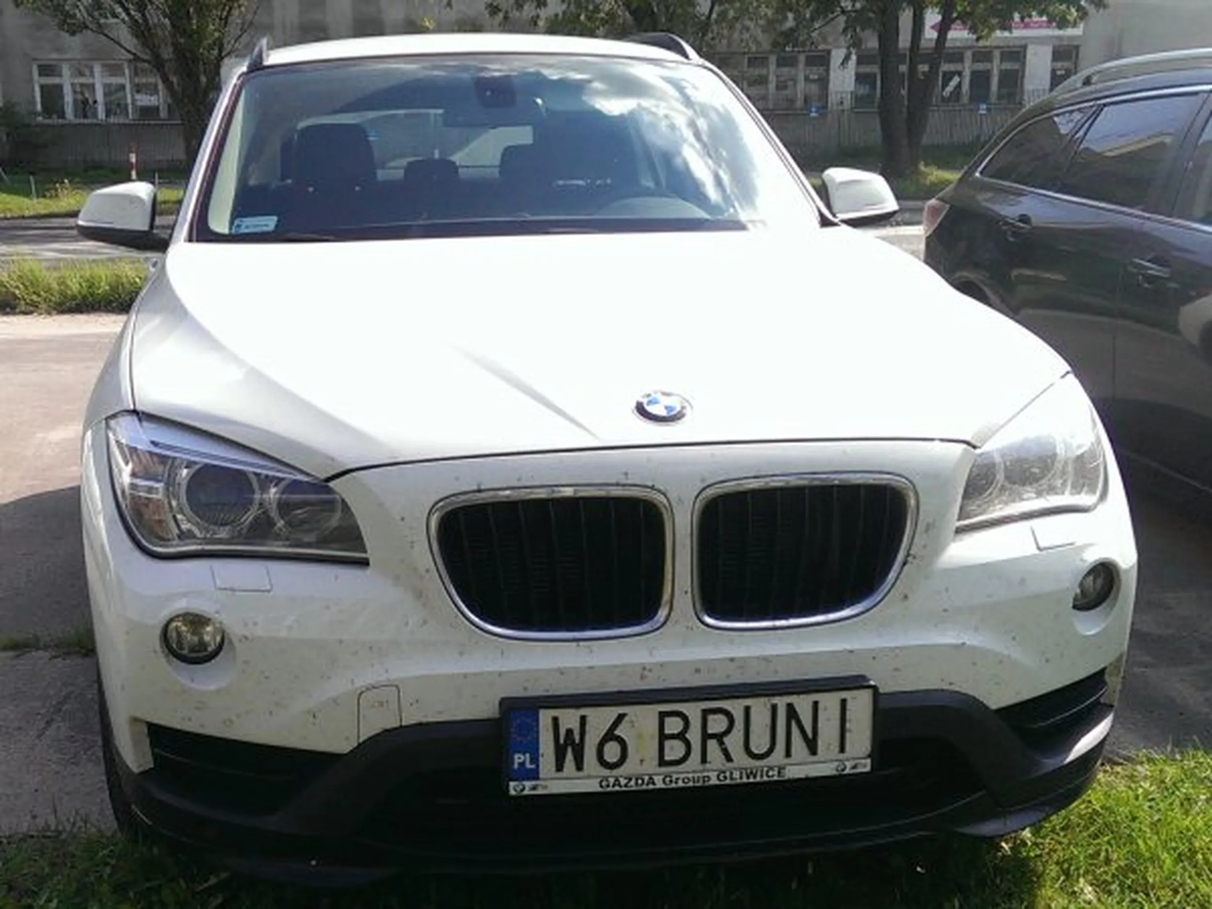 Fajny numer, blacha W6 BRUNI