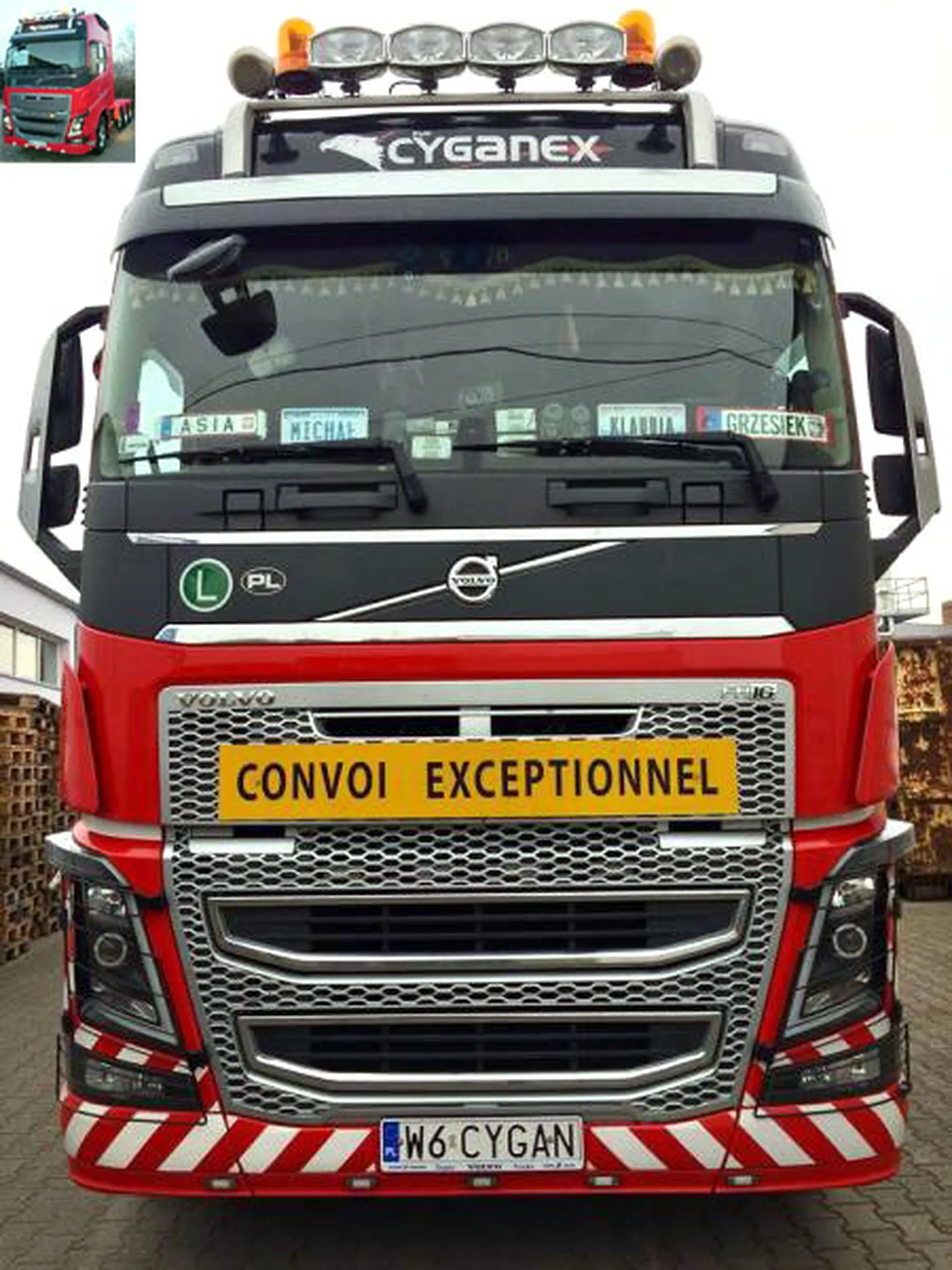 Fajny numer, blacha W6 CYGAN