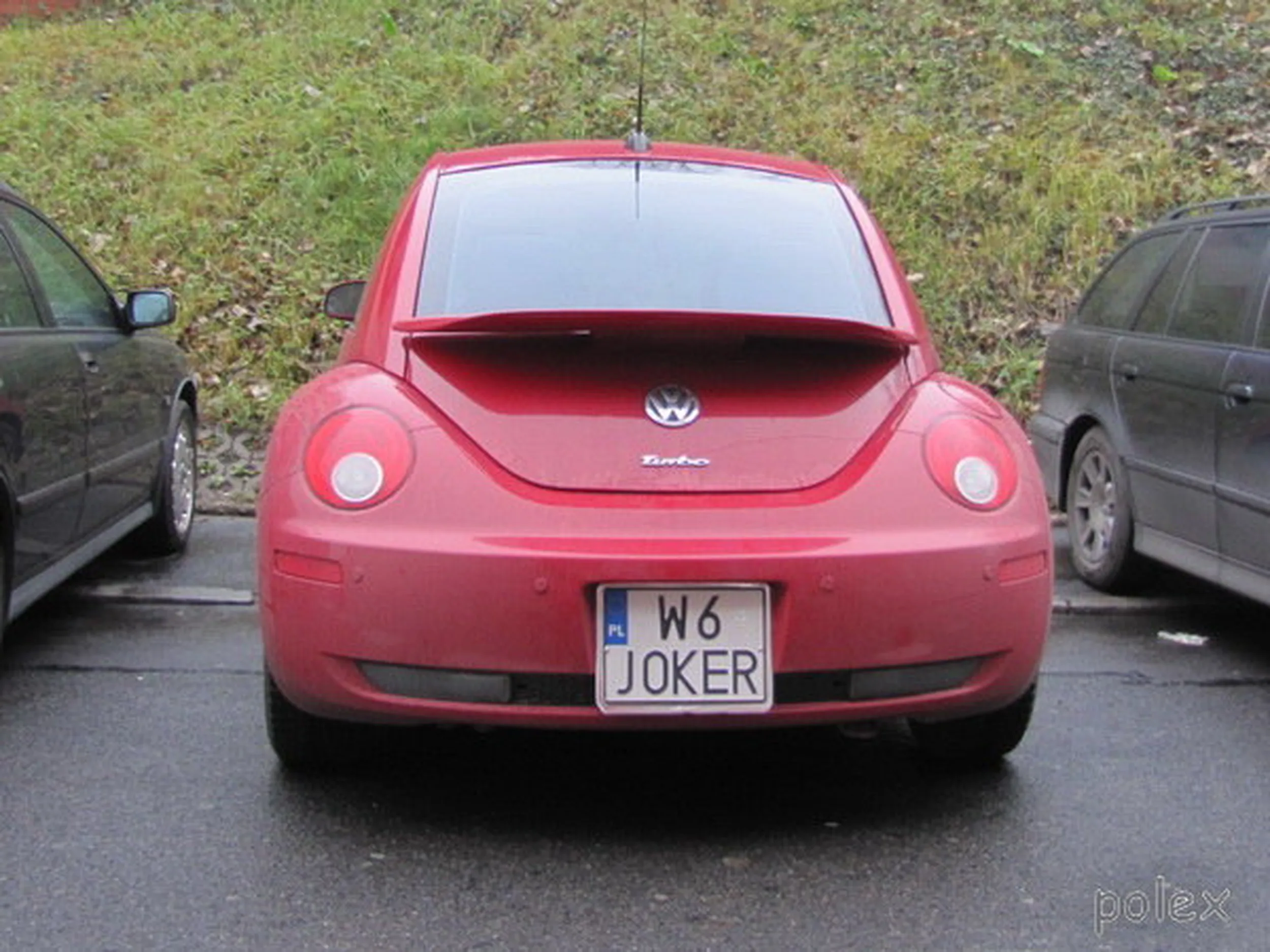 Fajny numer, blacha W6 JOKER