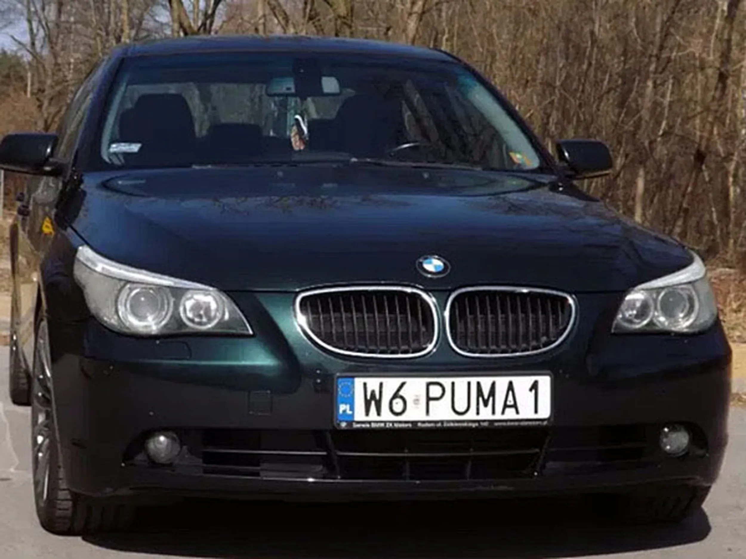 Fajny numer, blacha W6 PUMA1