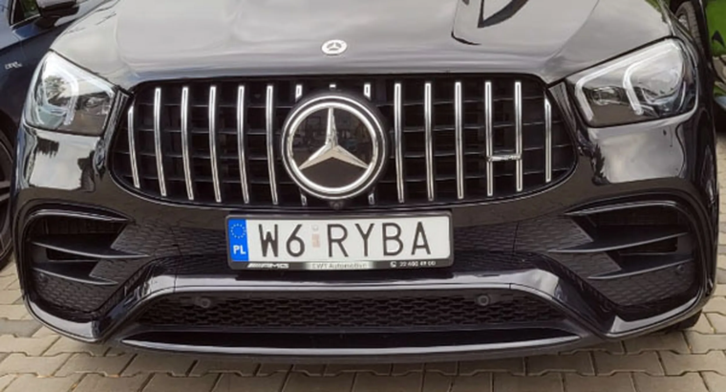 Fajny numer, blacha W6 RYBA