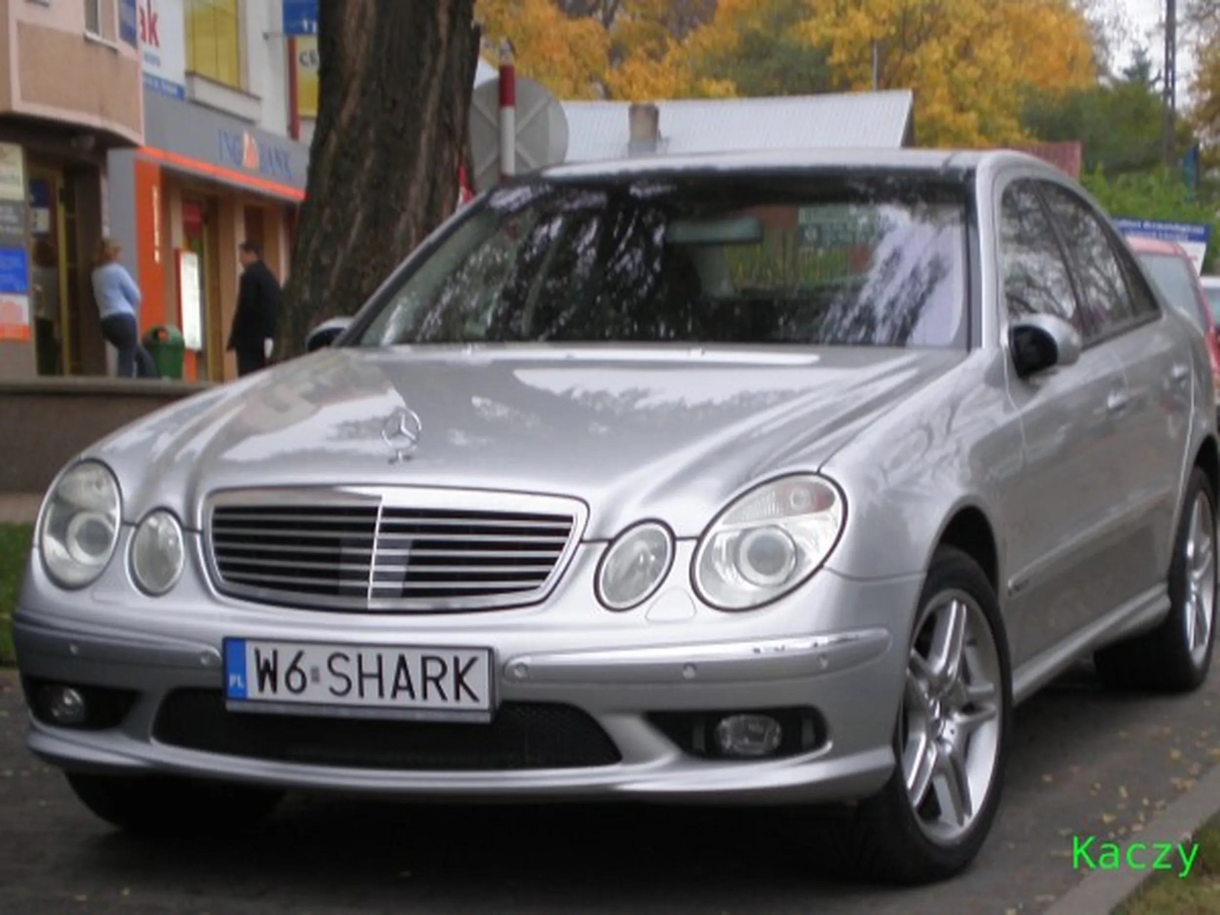 Fajny numer, blacha W6 SHARK