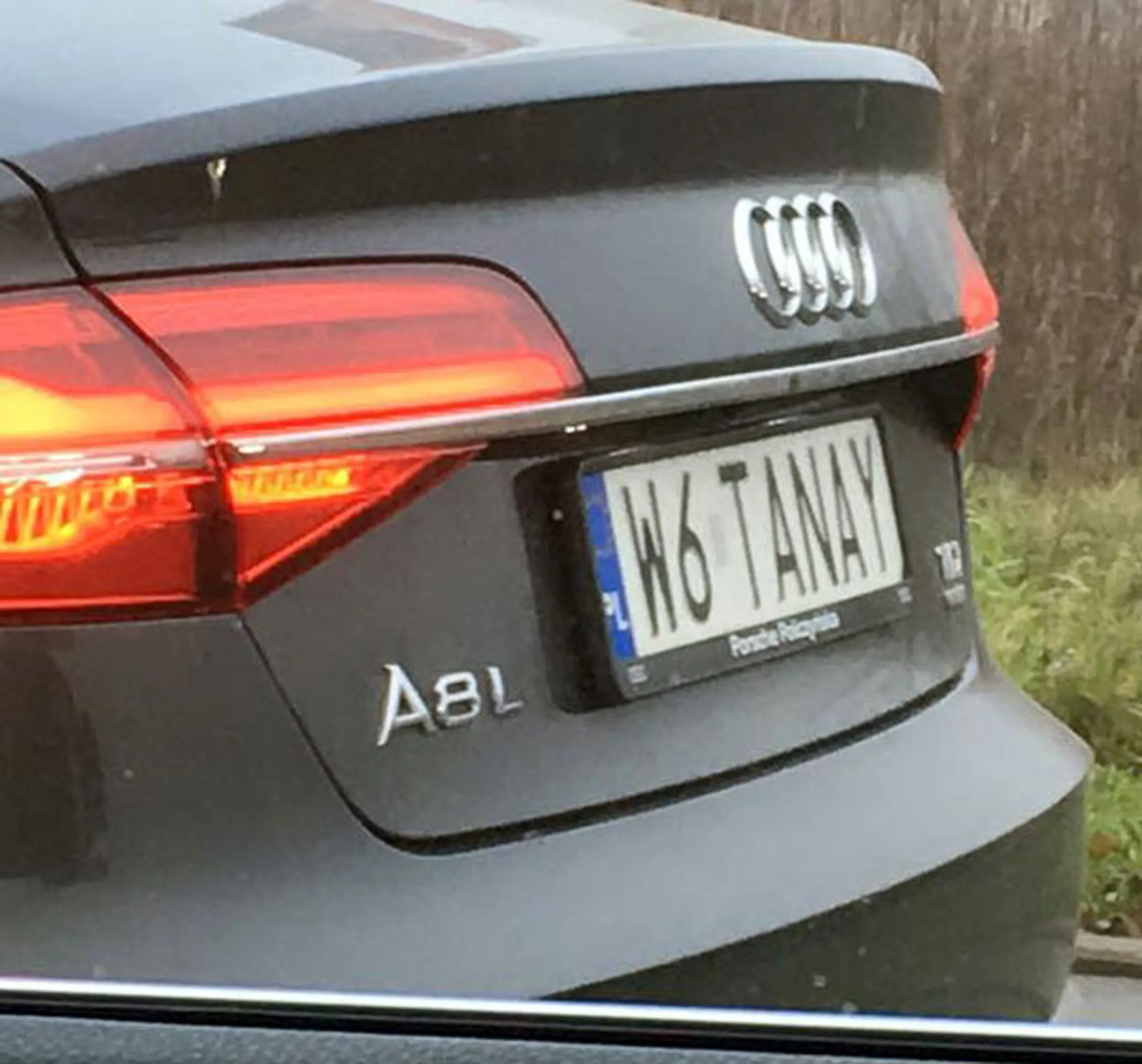 Fajny numer, blacha W6 TANAY