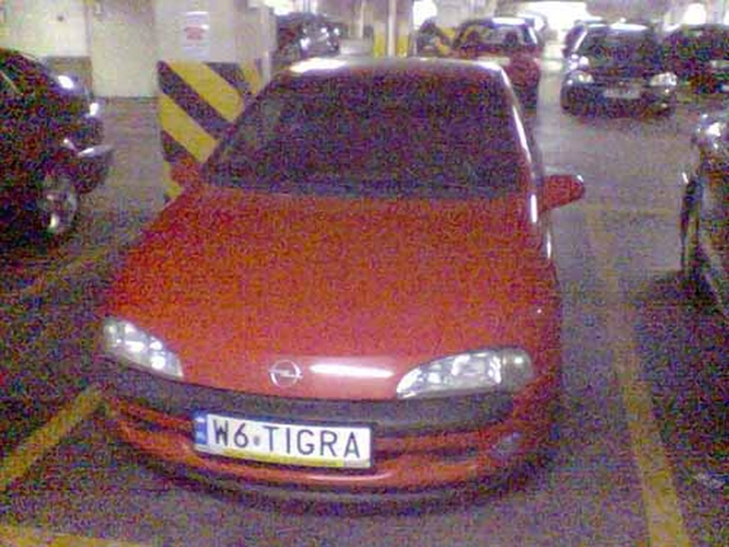 Fajny numer, blacha W6 TIGRA