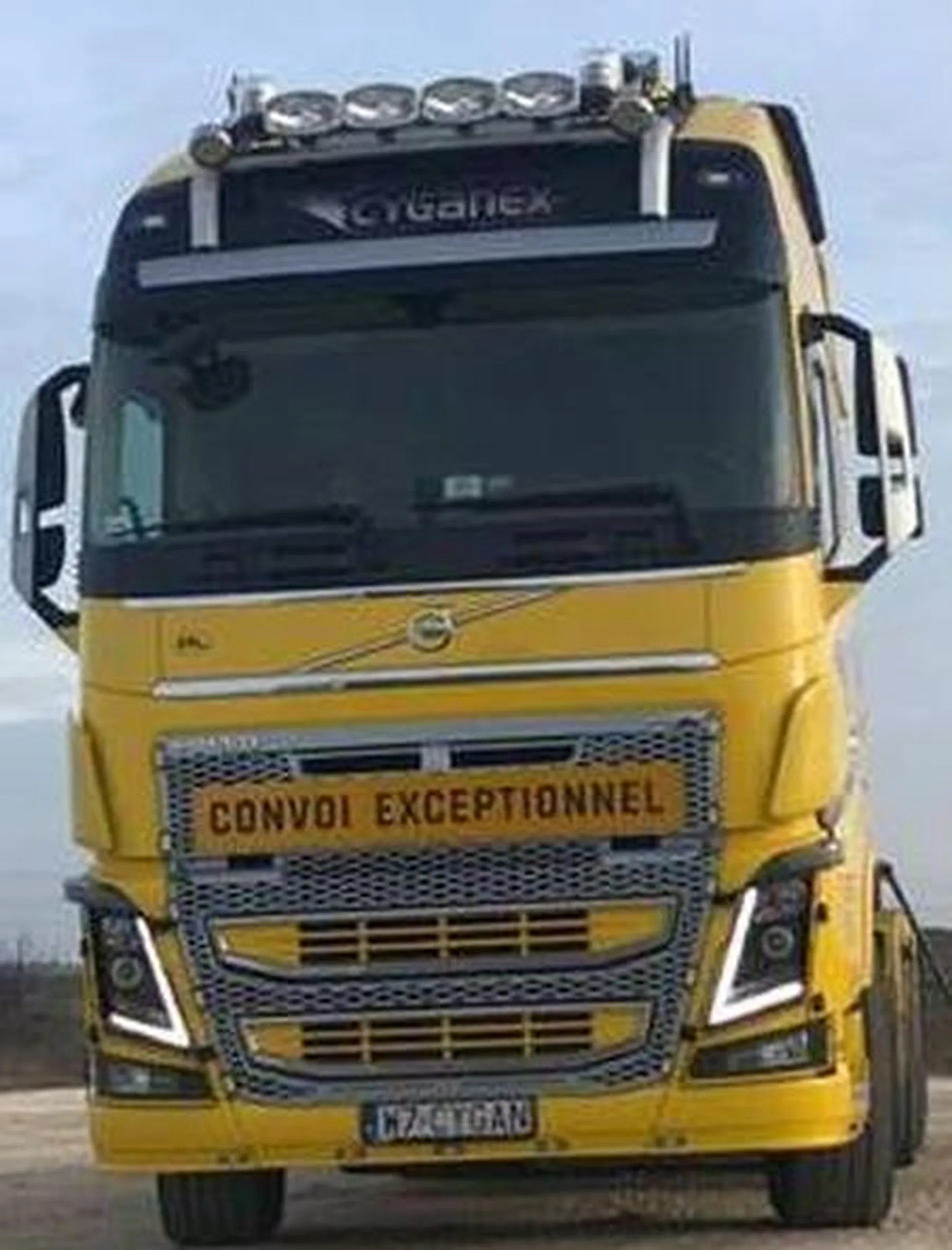 Fajny numer, blacha W7 CYGAN