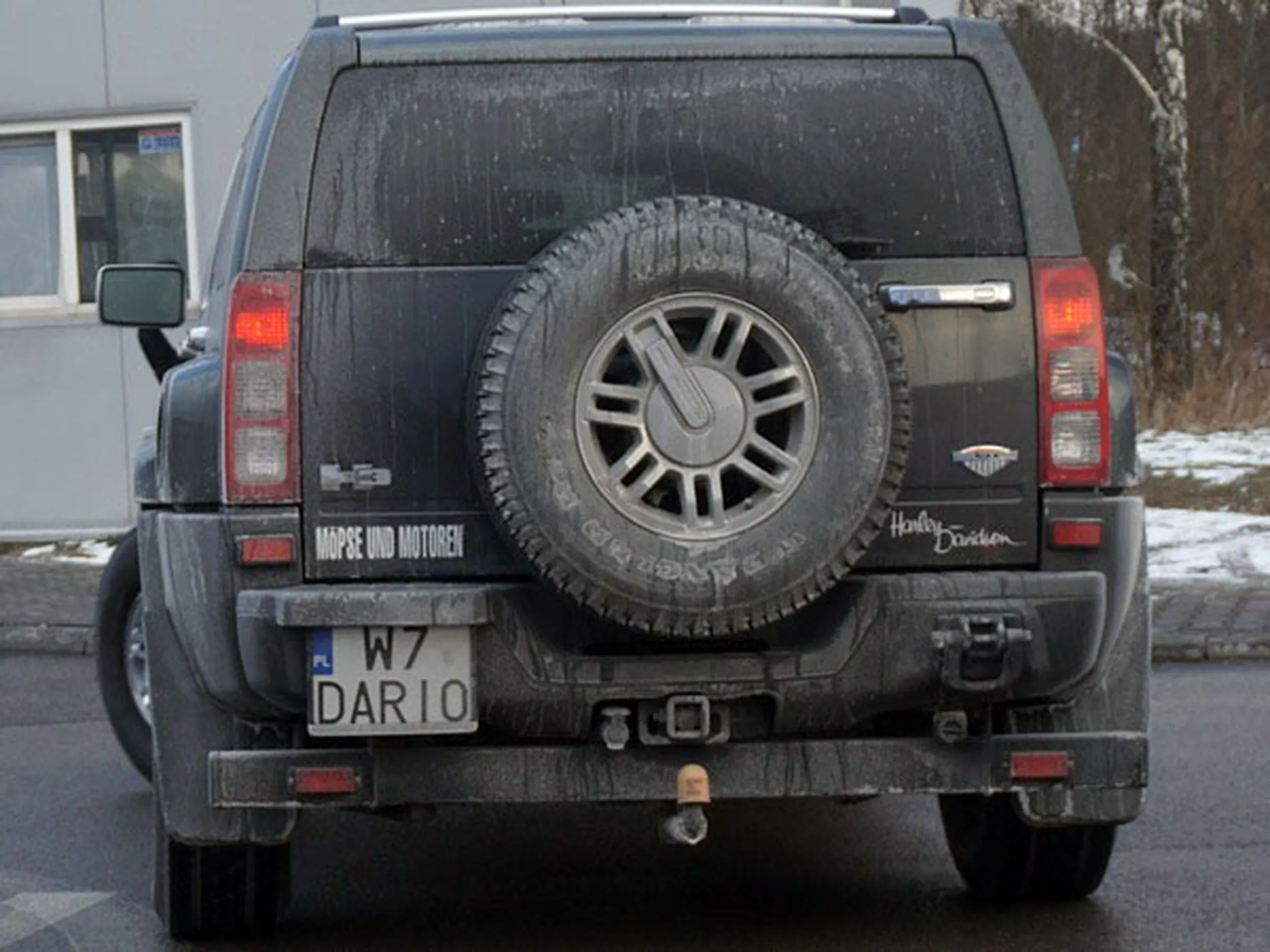 Fajny numer, blacha W7 DARIO