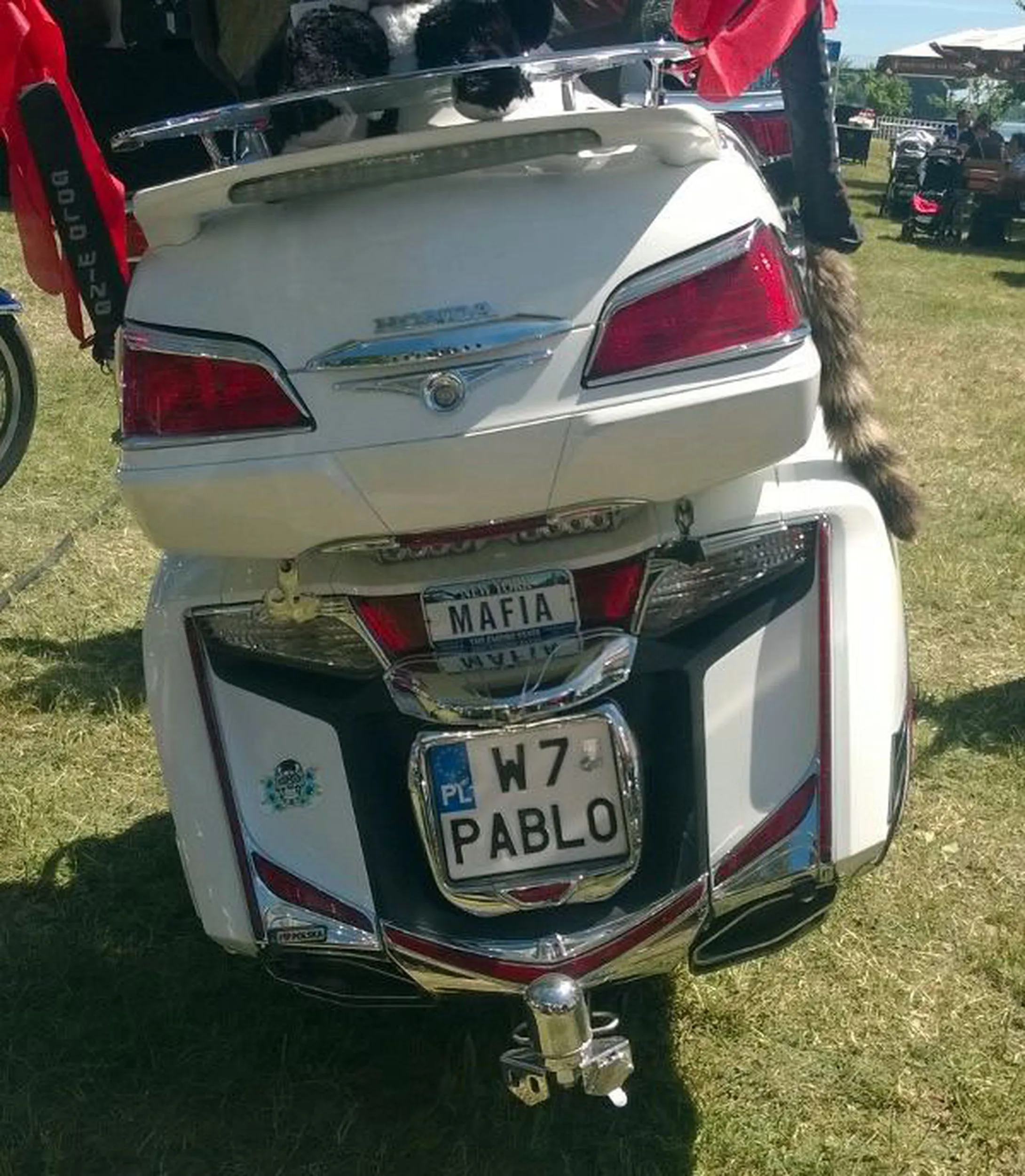 Fajny numer, blacha W7 PABLO