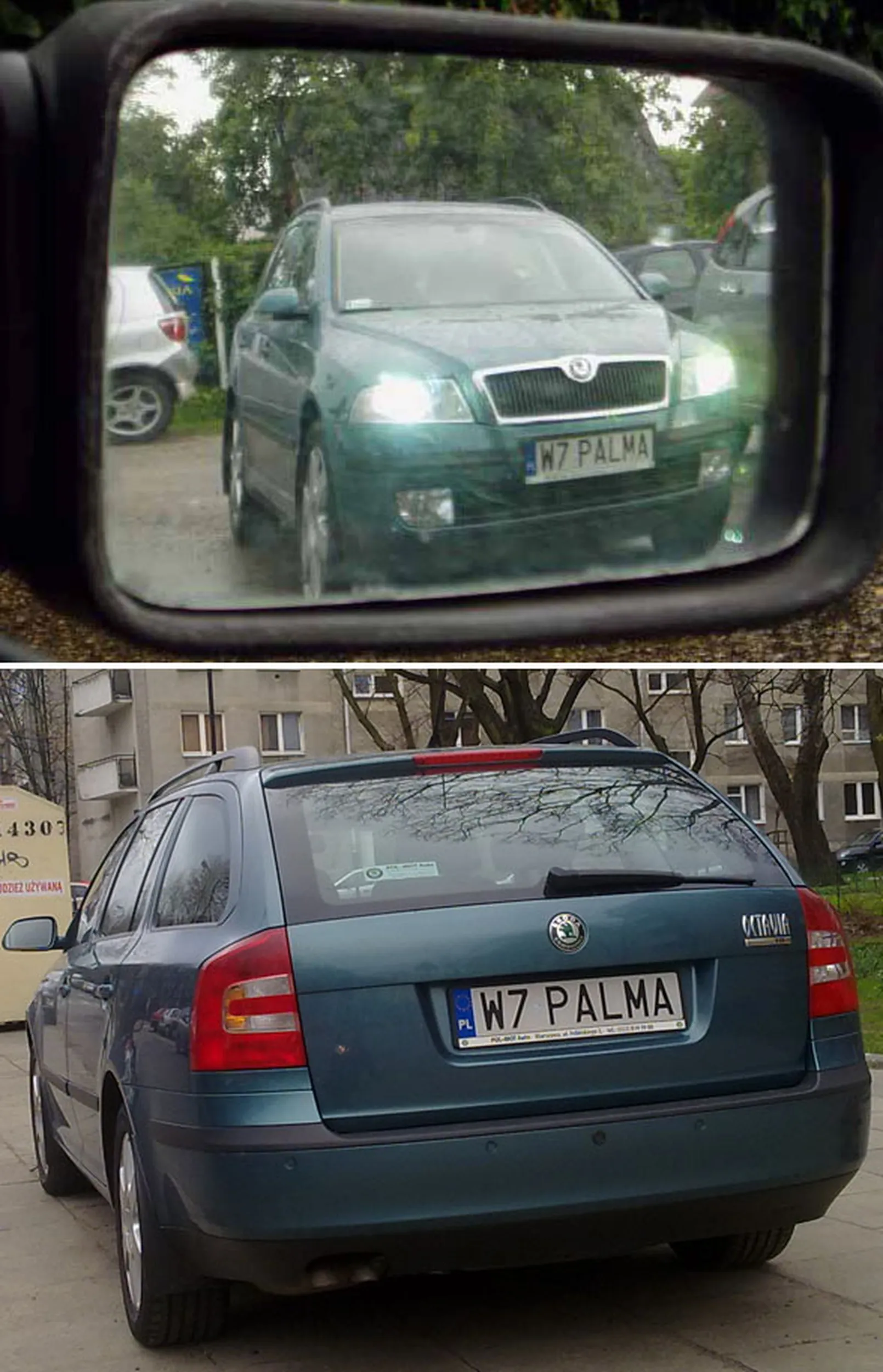 Fajny numer, blacha W7 PALMA