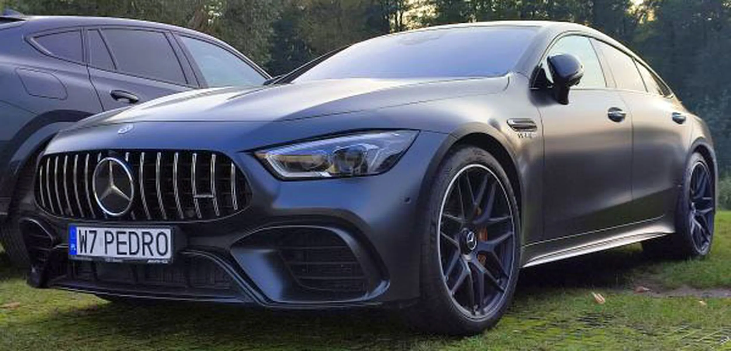 Fajny numer, blacha W7 PEDRO