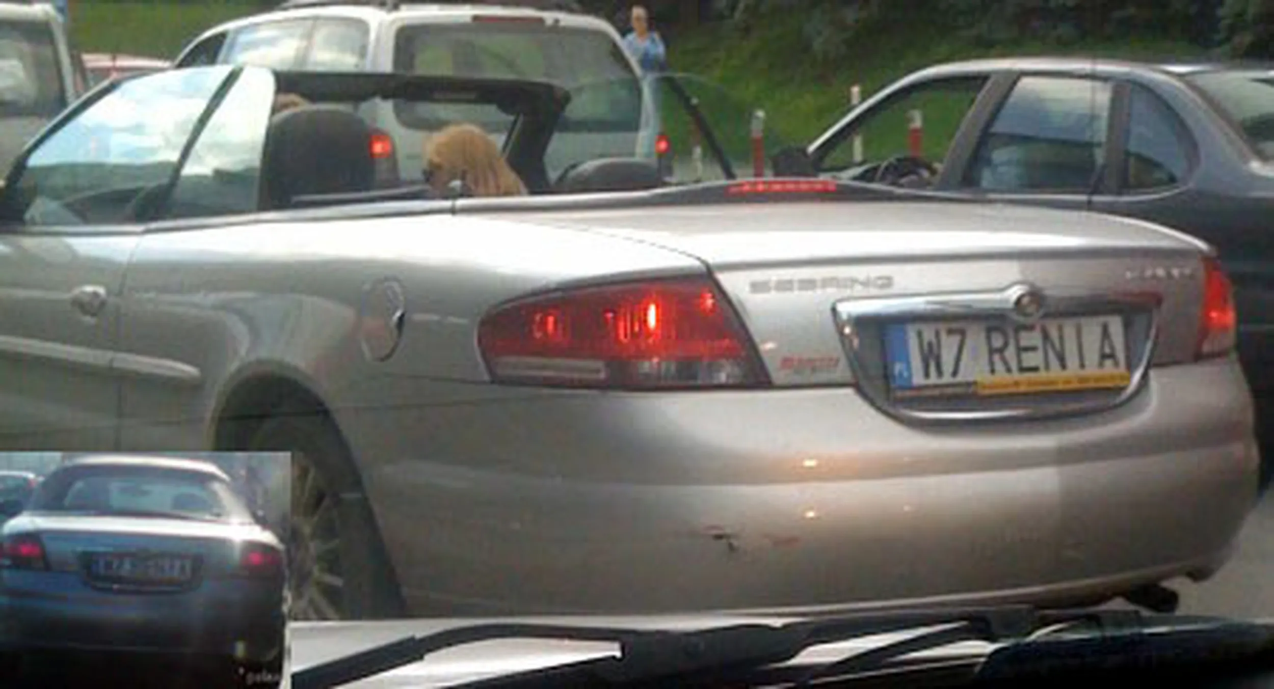 Fajny numer, blacha W7 RENIA