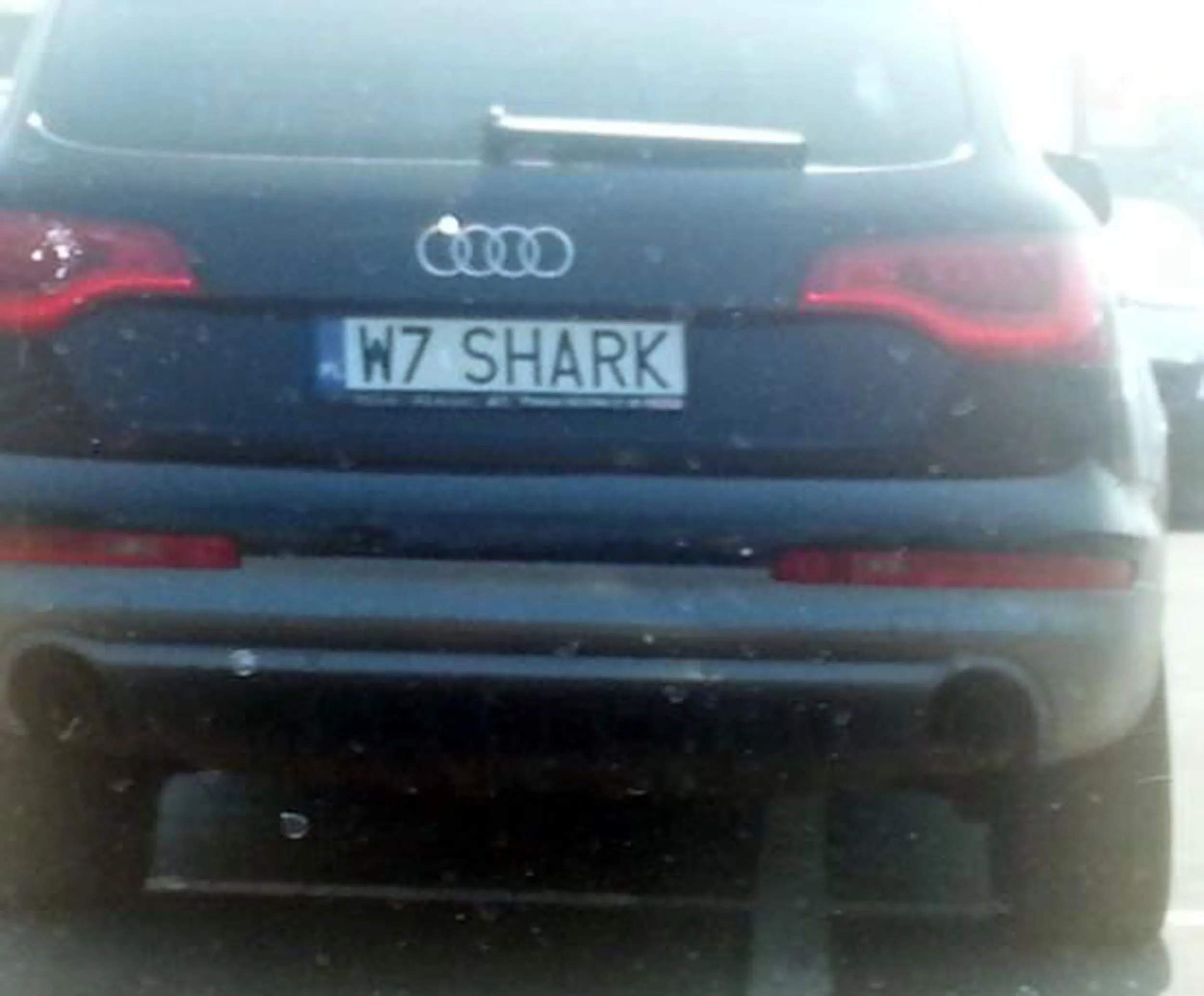 Fajny numer, blacha W7 SHARK