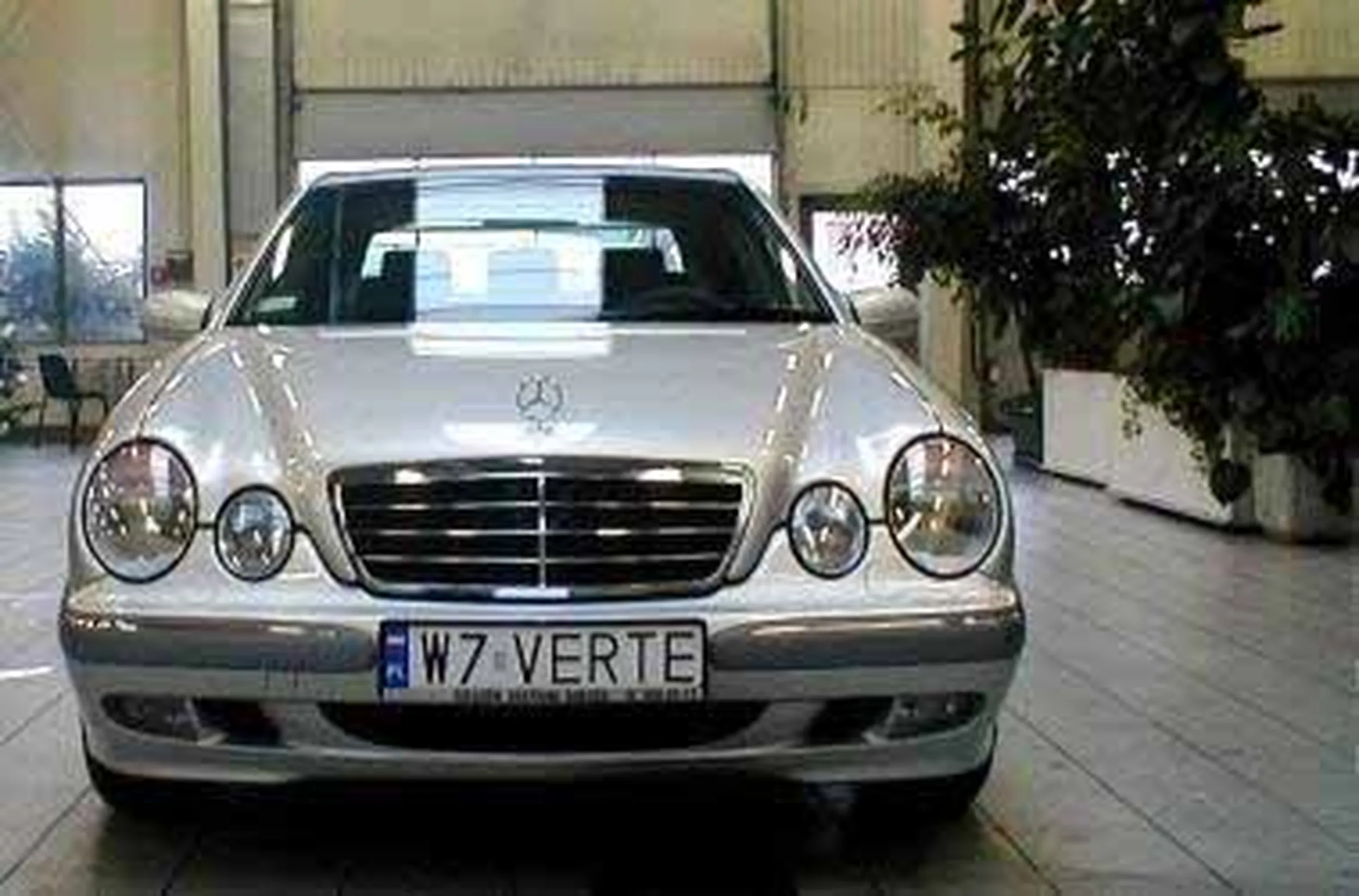 Fajny numer, blacha W7 VERTE