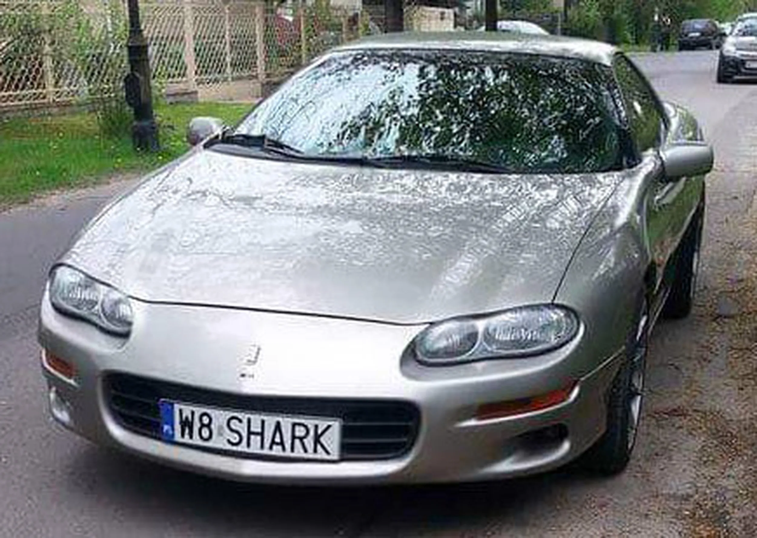 Fajny numer, blacha W8 SHARK