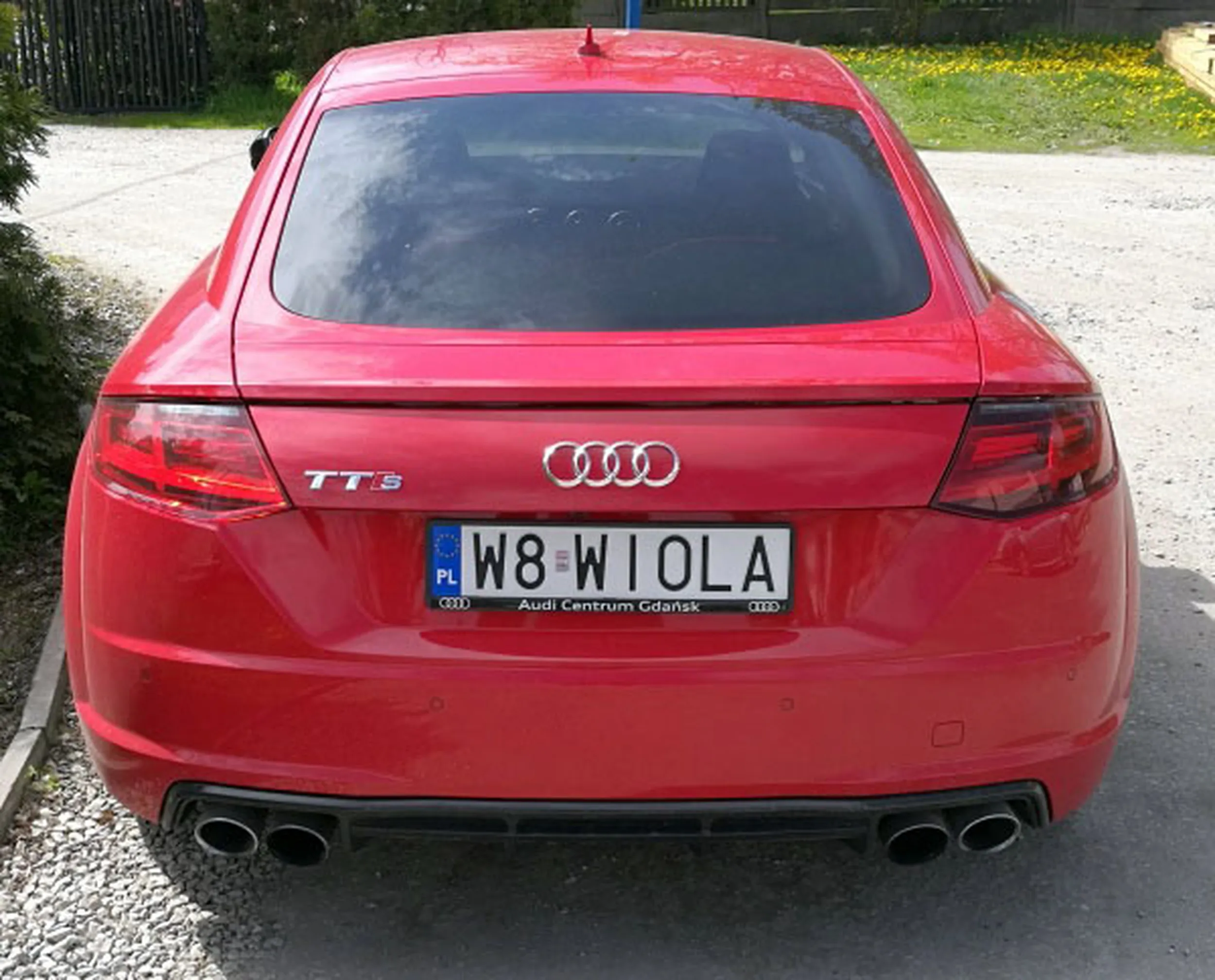 Fajny numer, blacha W8 WIOLA