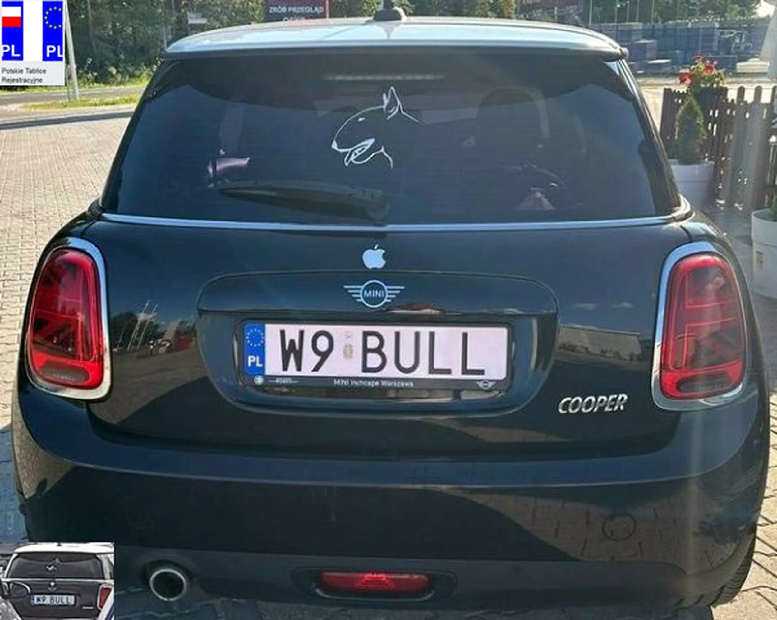 Fajny numer, blacha W9 BULL