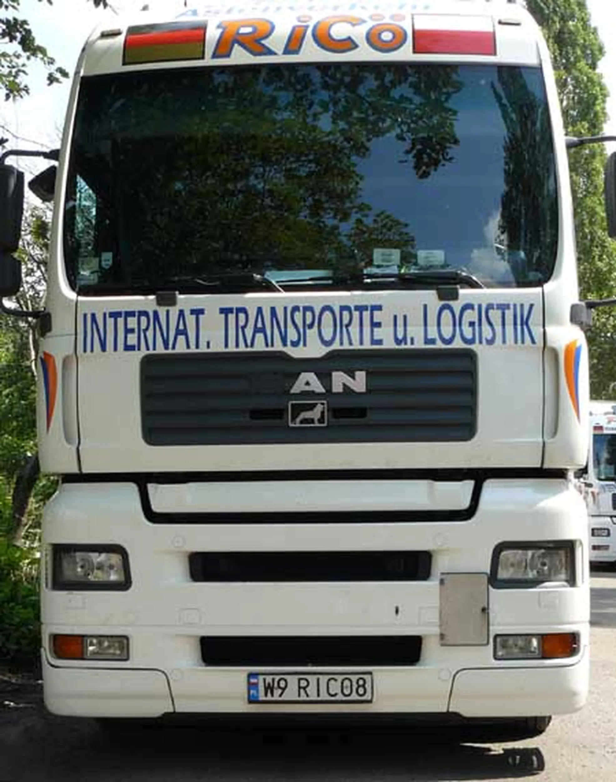 Fajny numer, blacha W9 RICO8