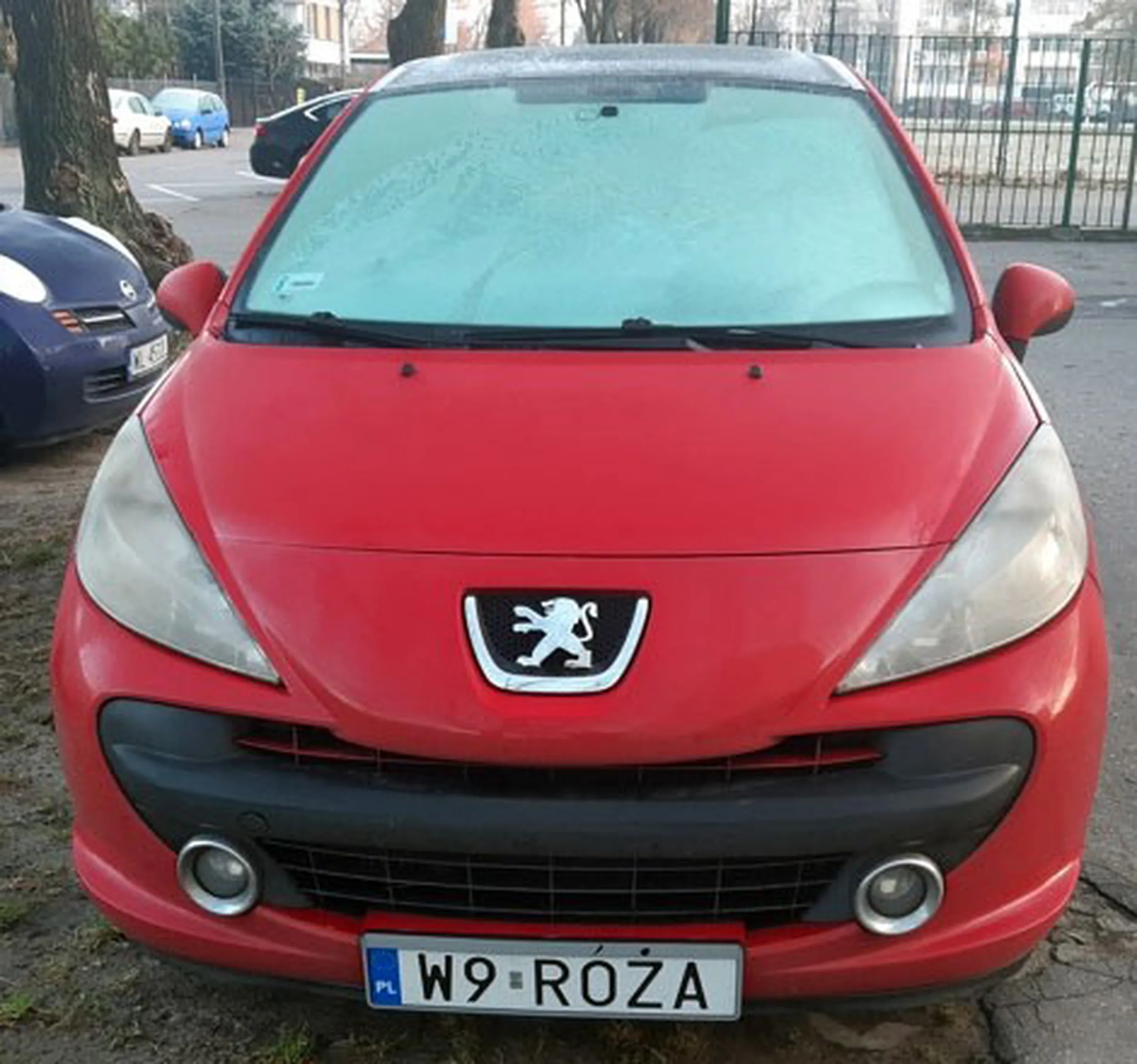 Fajny numer, blacha W9 ROZA