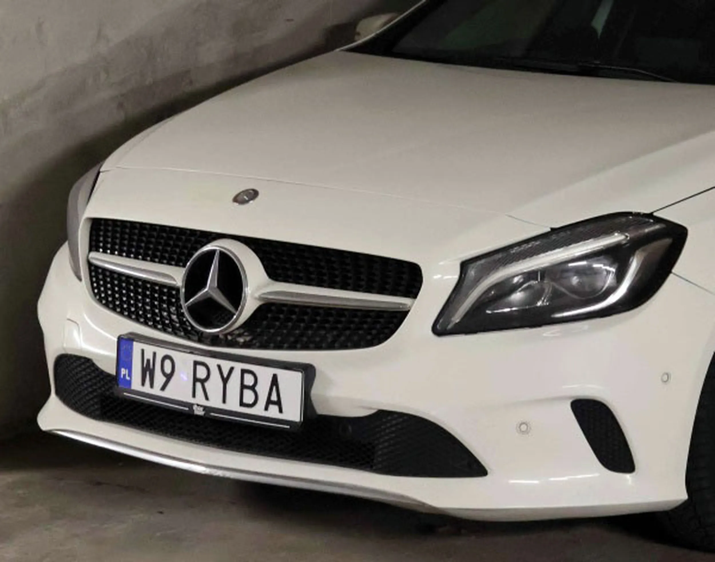 Fajny numer, blacha W9 RYBA