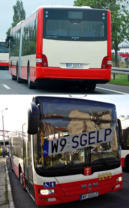 Fajny numer, blacha W9 SGELP