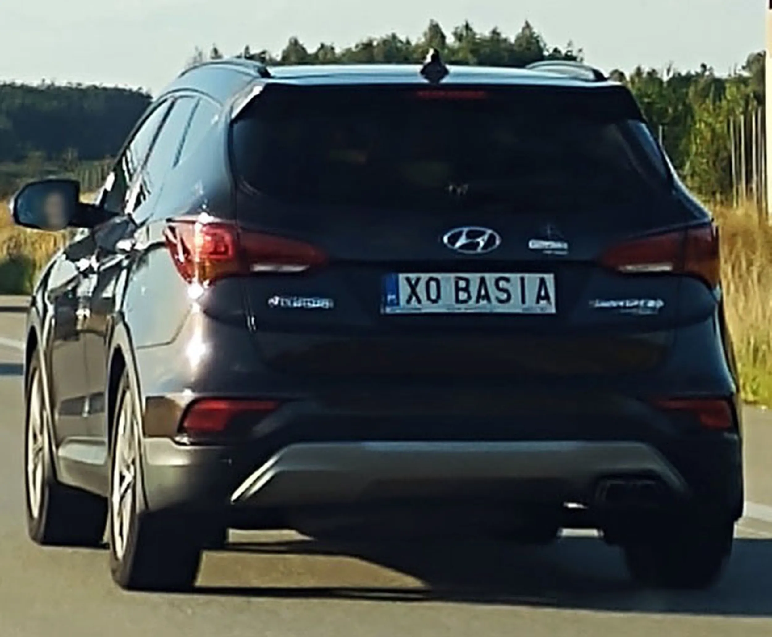 Fajny numer, blacha X0 BASIA