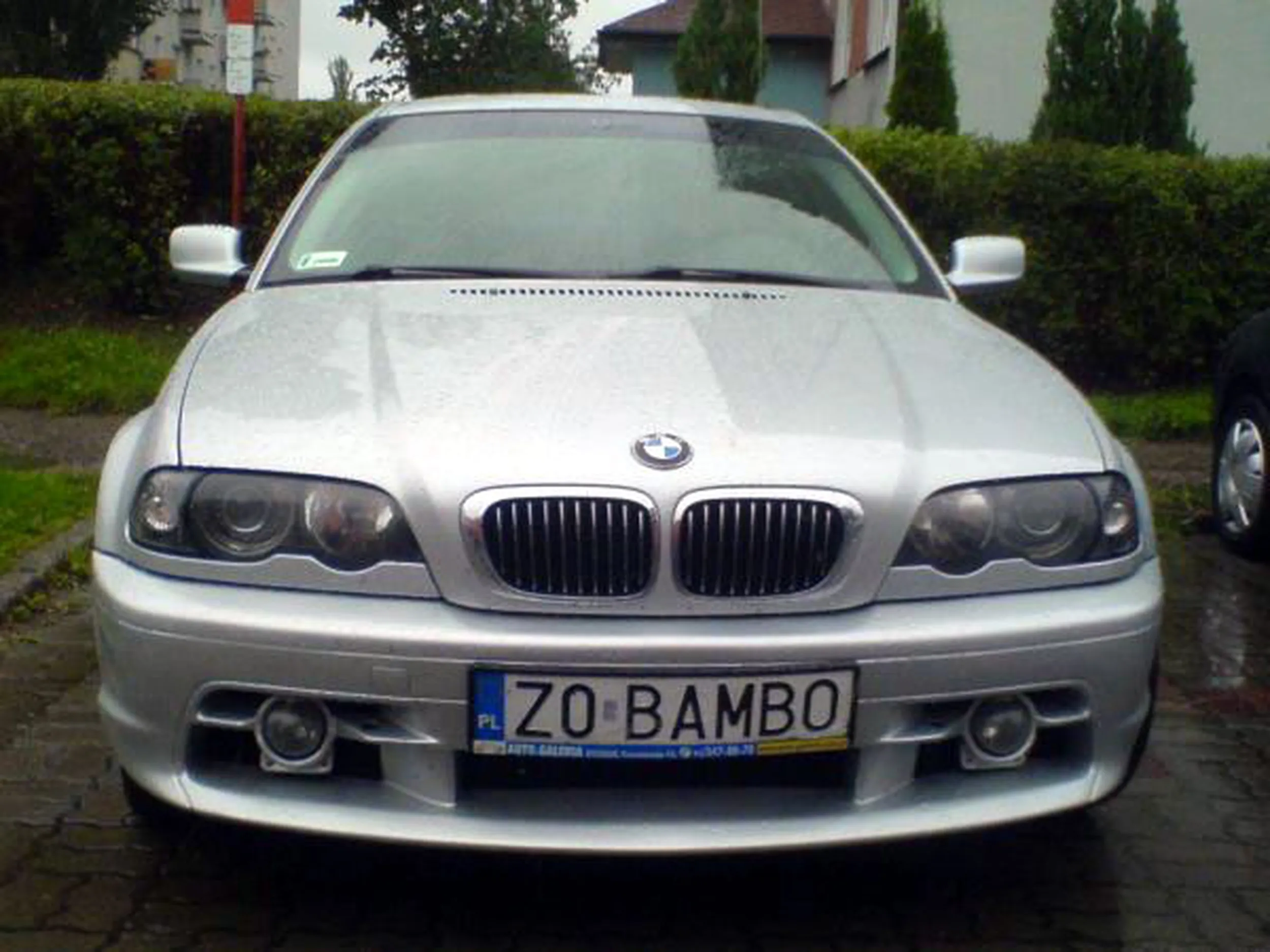 Fajny numer, blacha Z0 BAMBO