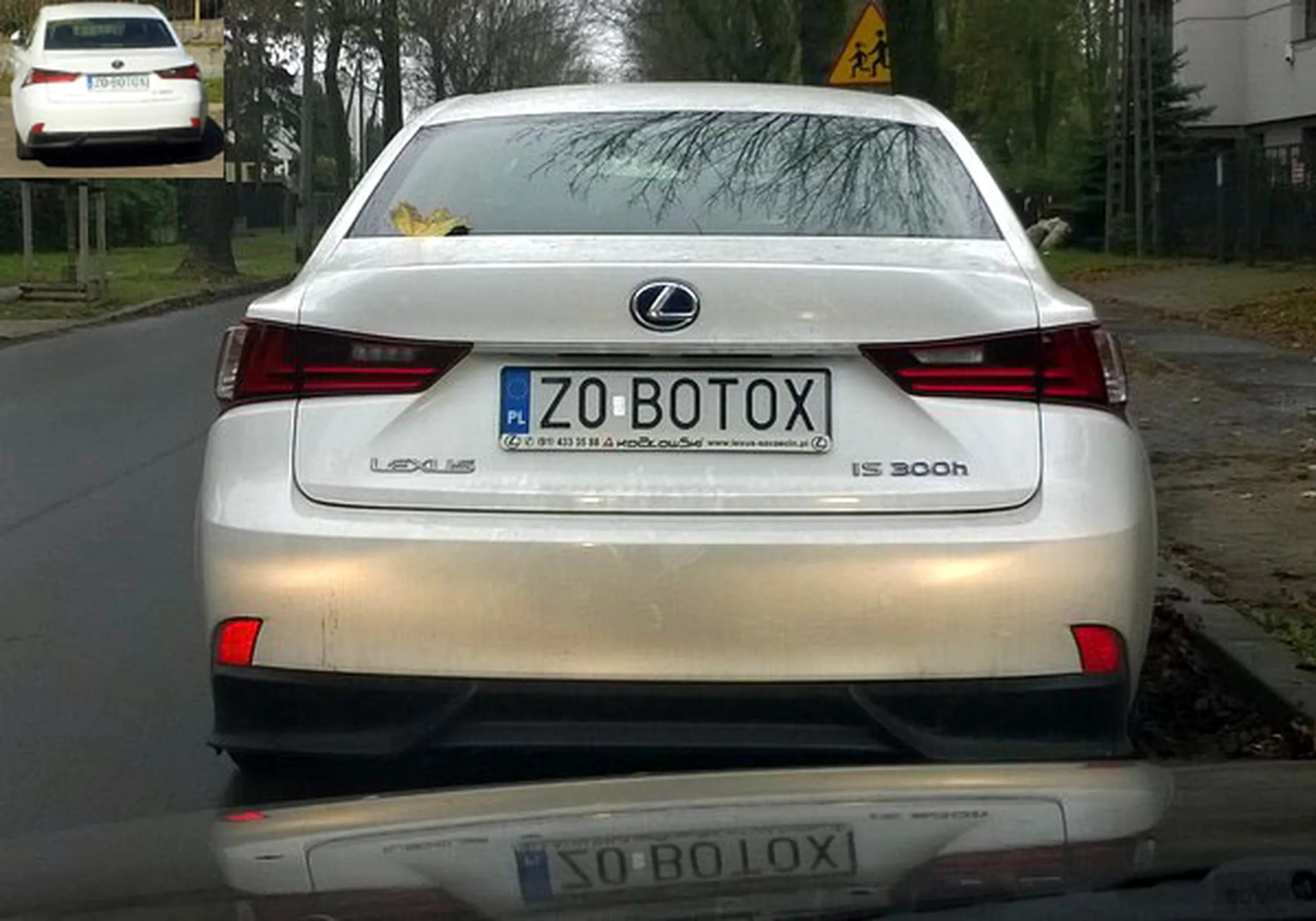 Fajny numer, blacha Z0 BOTOX