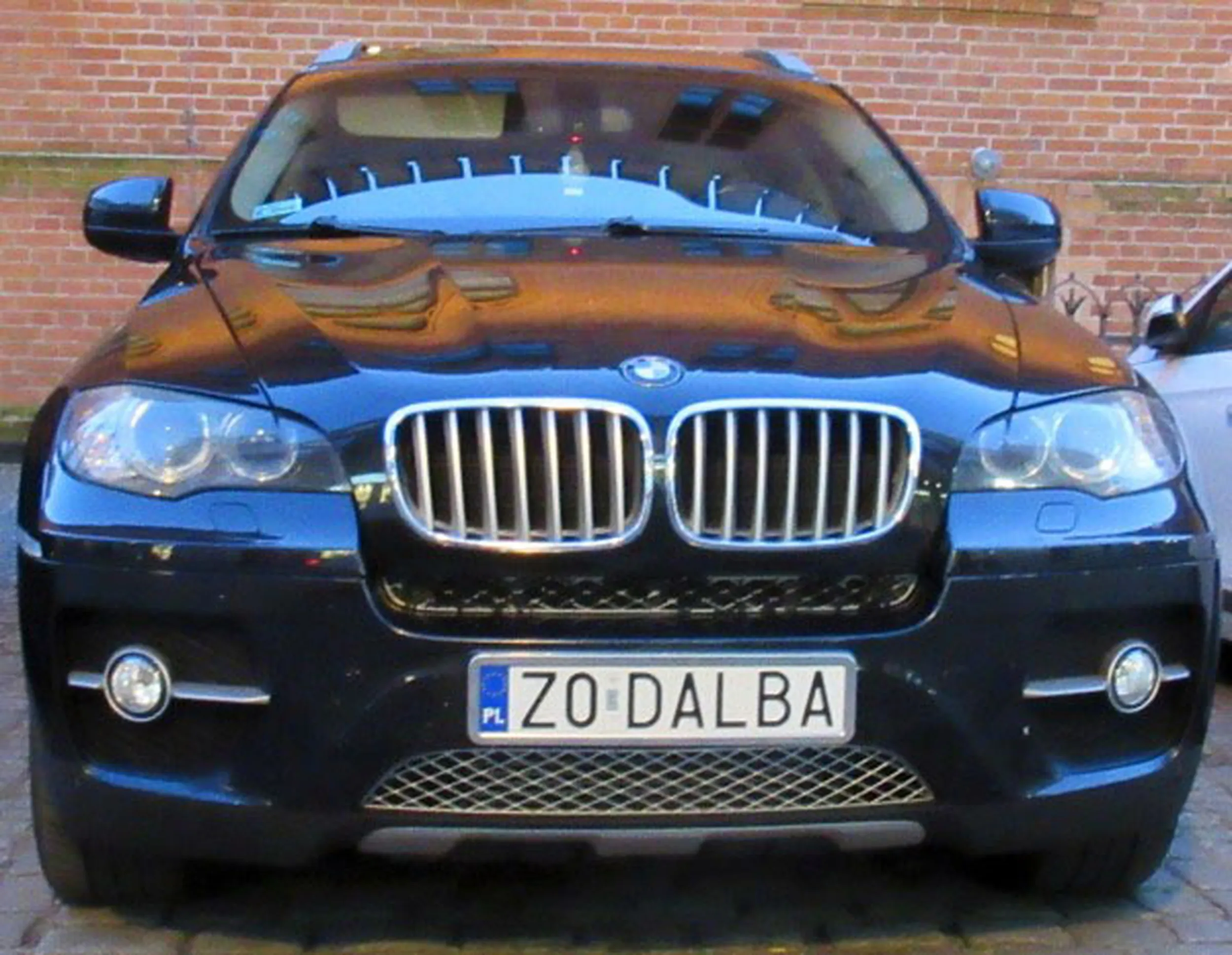 Fajny numer, blacha Z0 DALBA