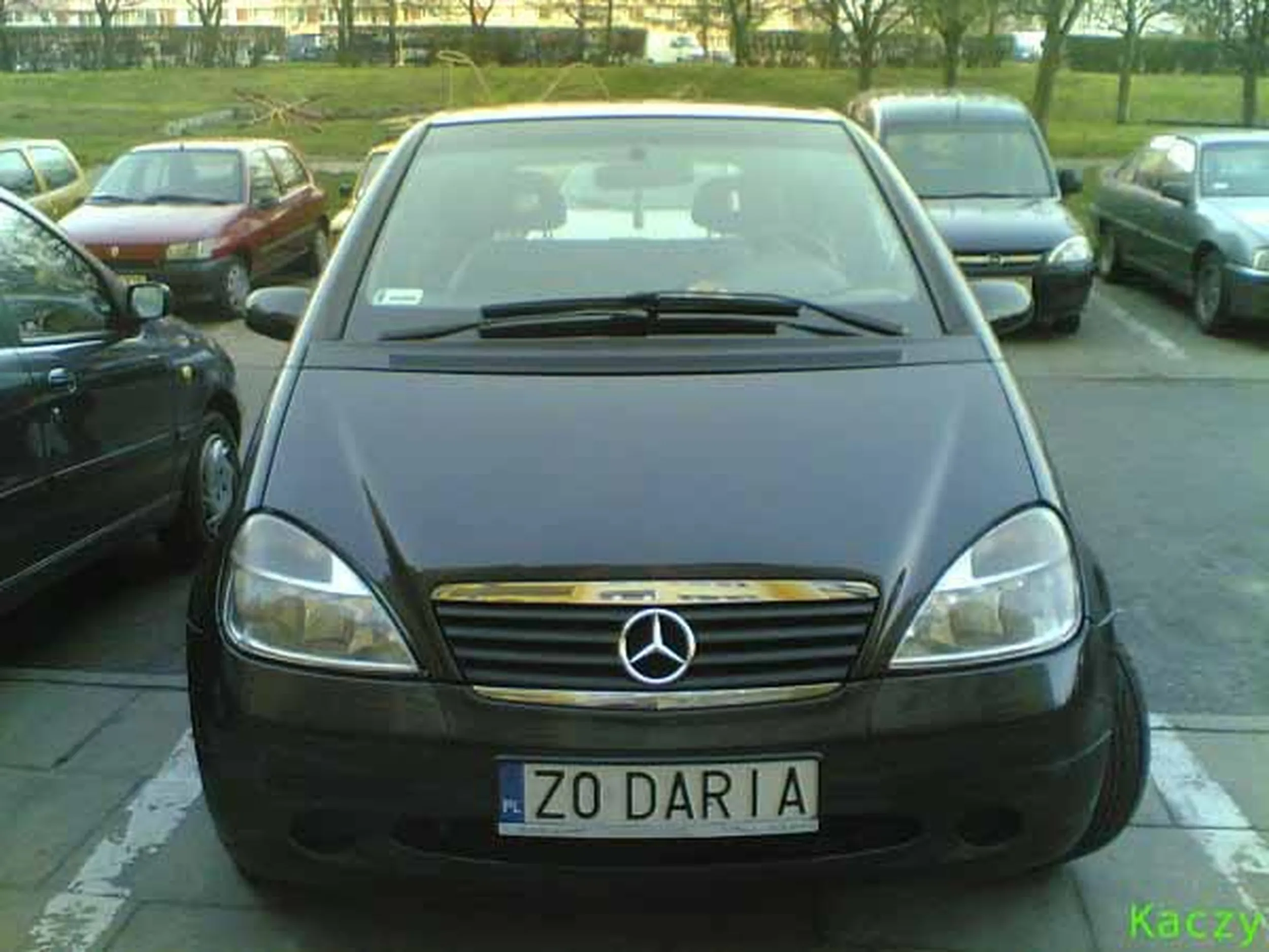 Fajny numer, blacha Z0 DARIA