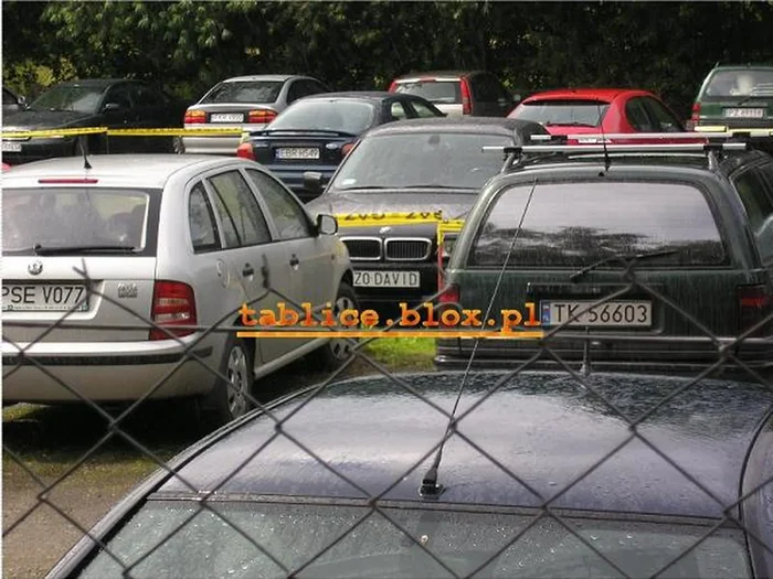 Fajny numer, blacha Z0 DAVID