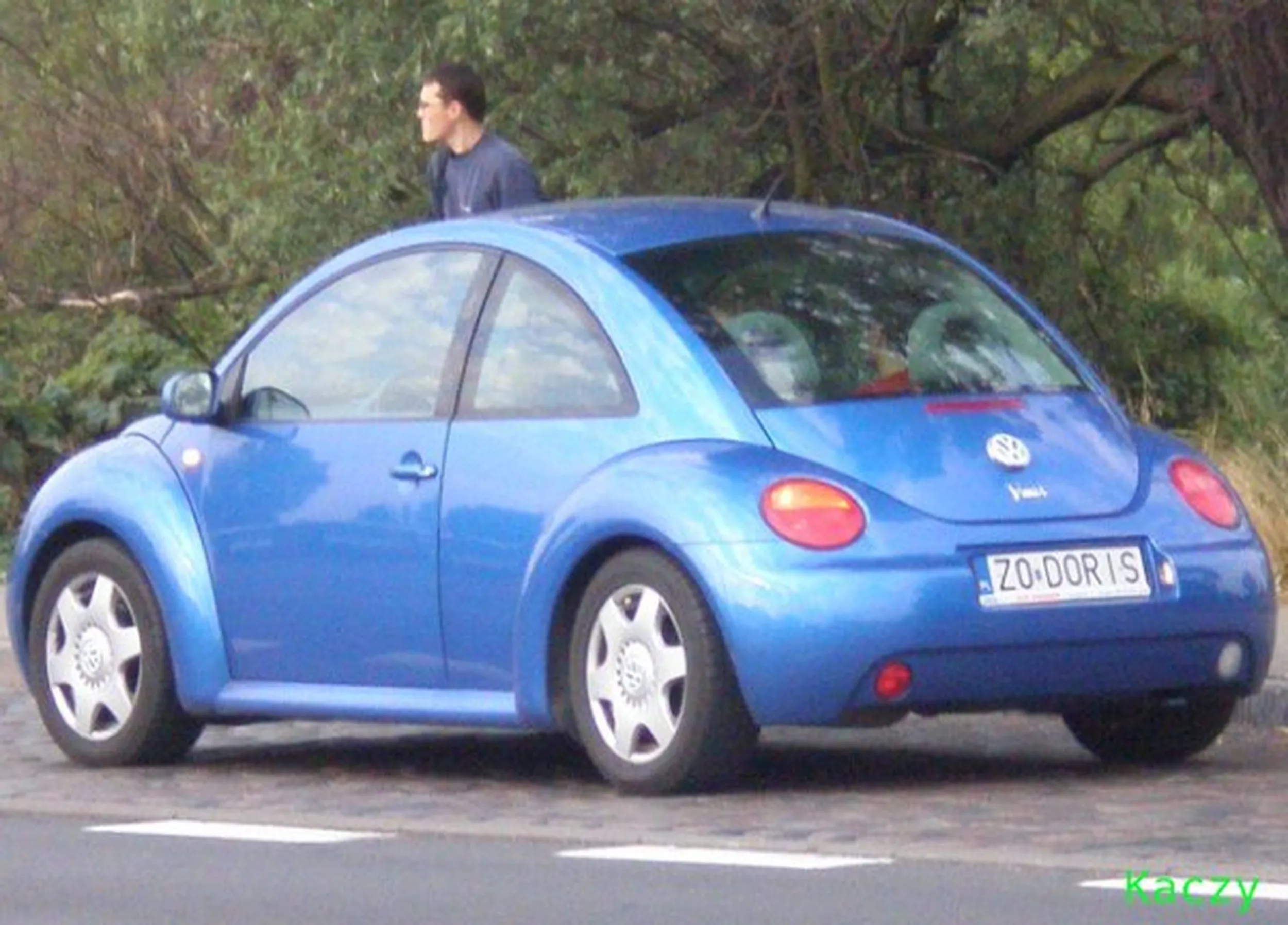 Fajny numer, blacha Z0 DORIS