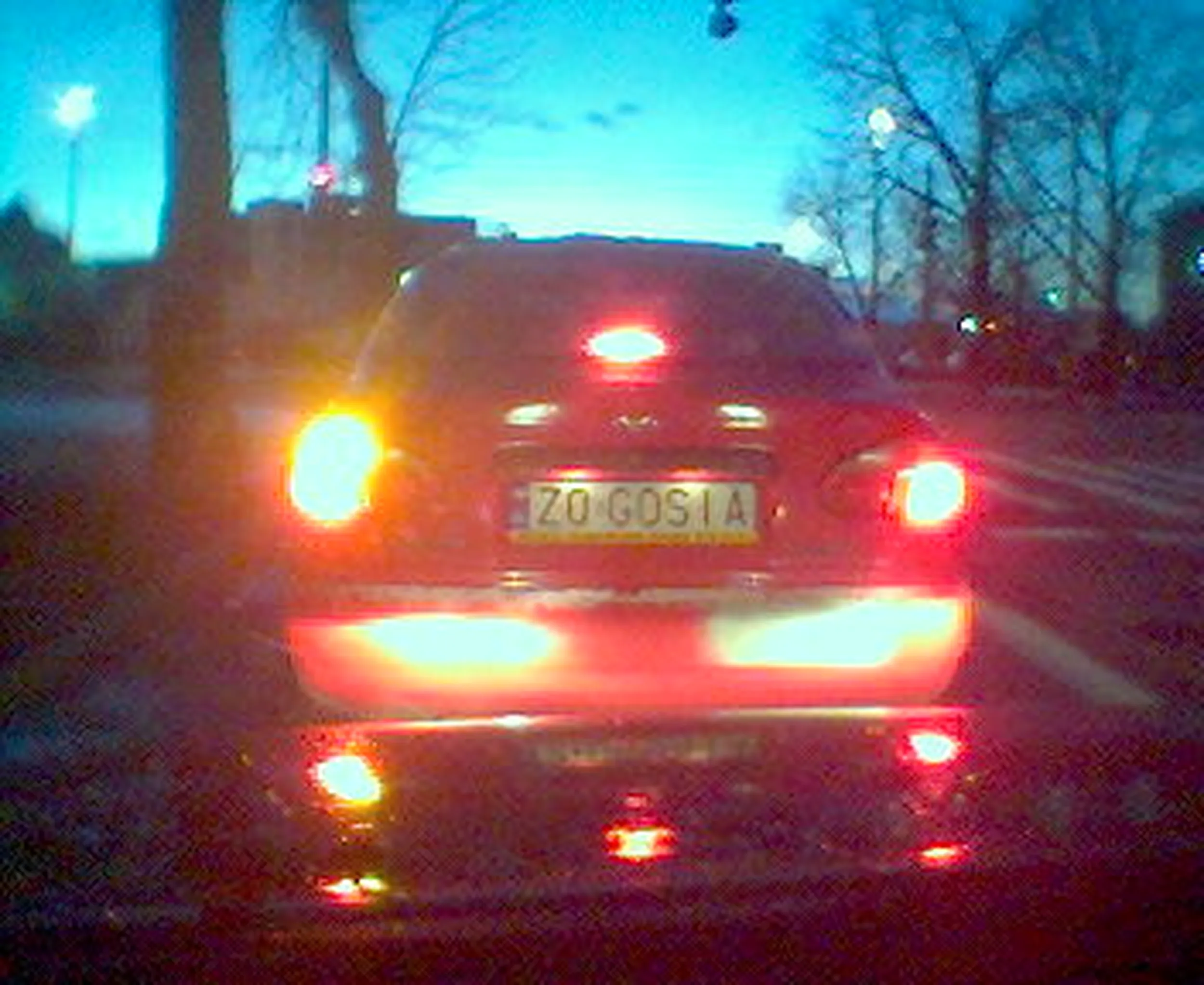 Fajny numer, blacha Z0 GOSIA