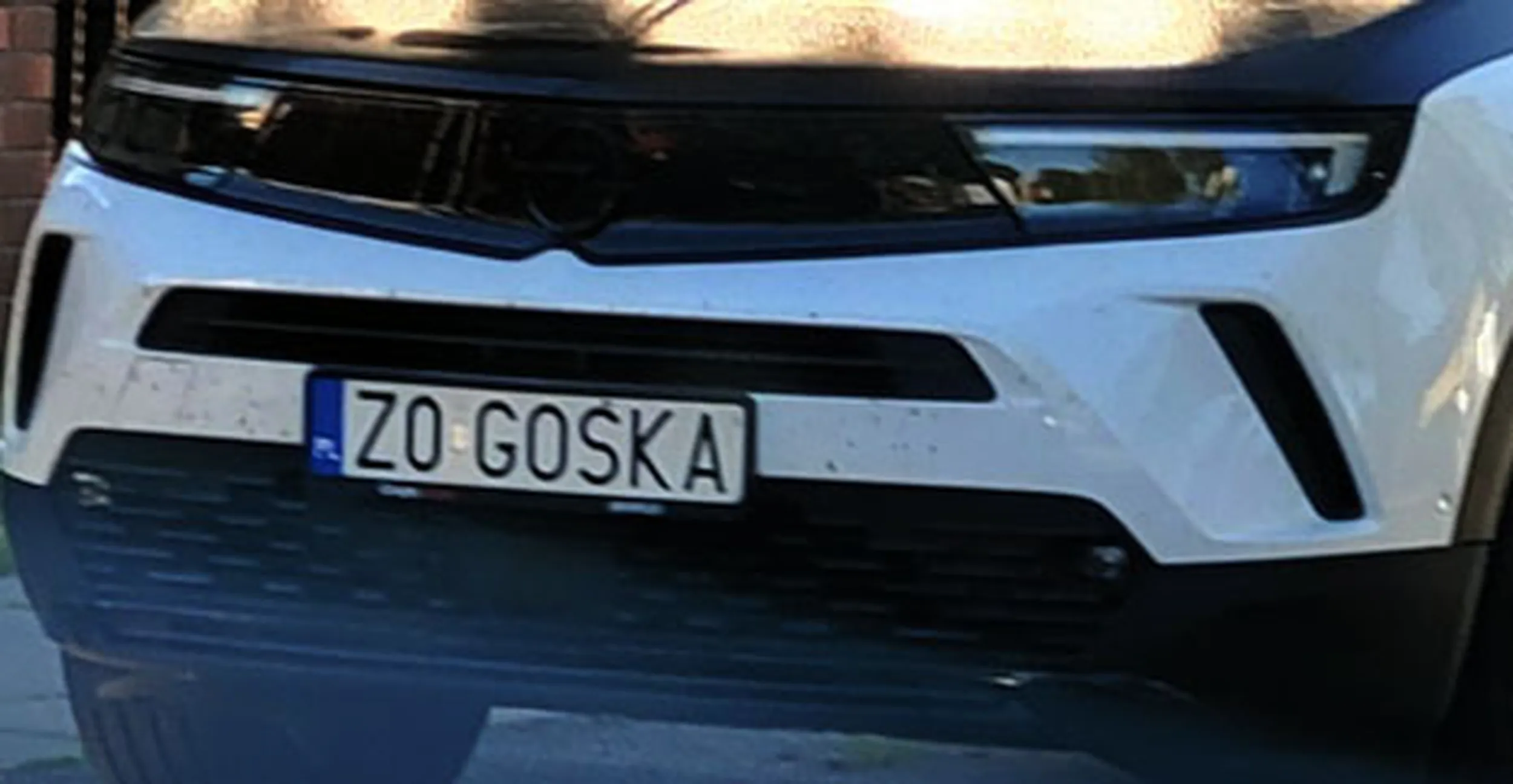 Fajny numer, blacha Z0 GOSKA