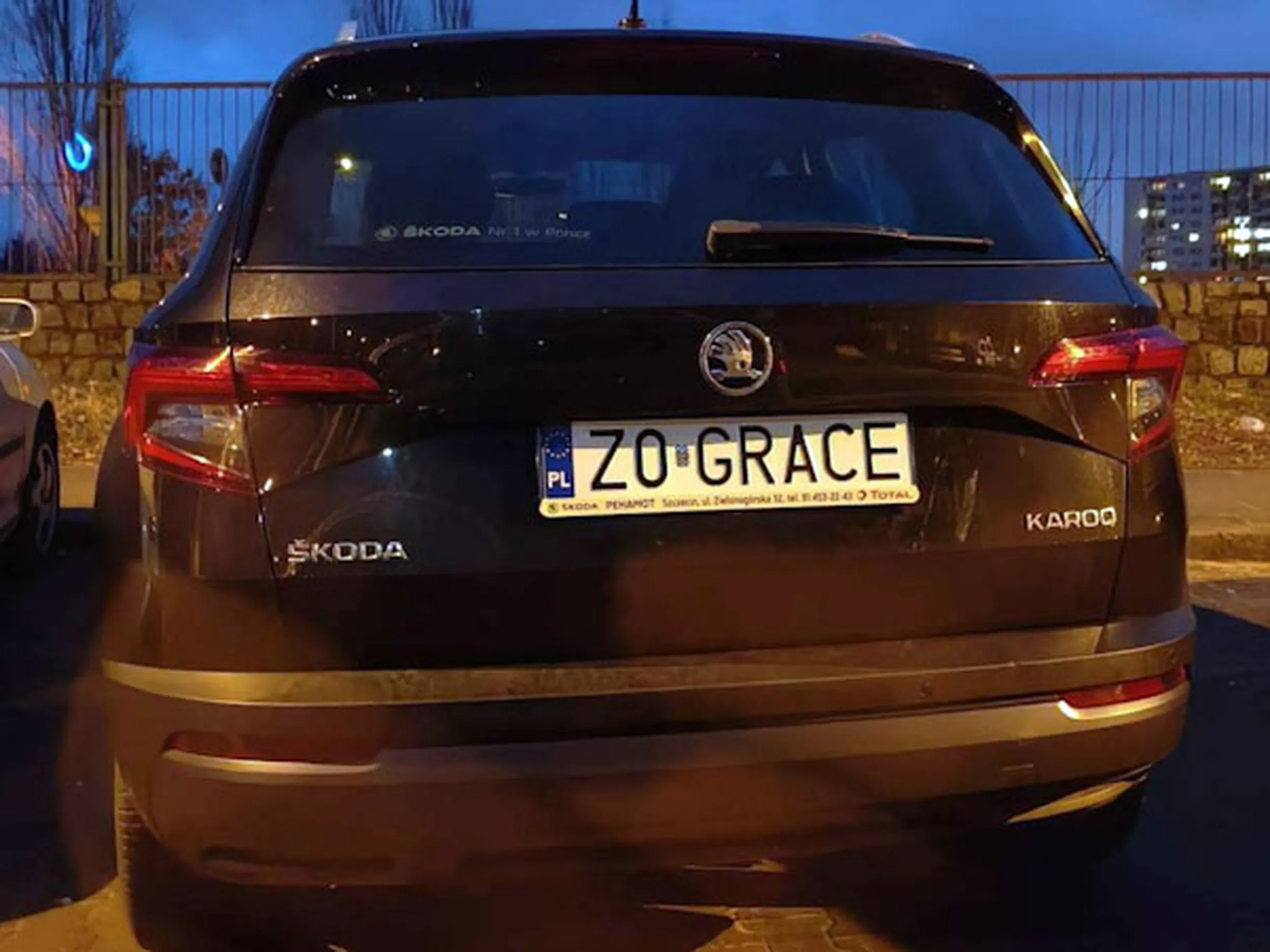 Fajny numer, blacha Z0 GRACE